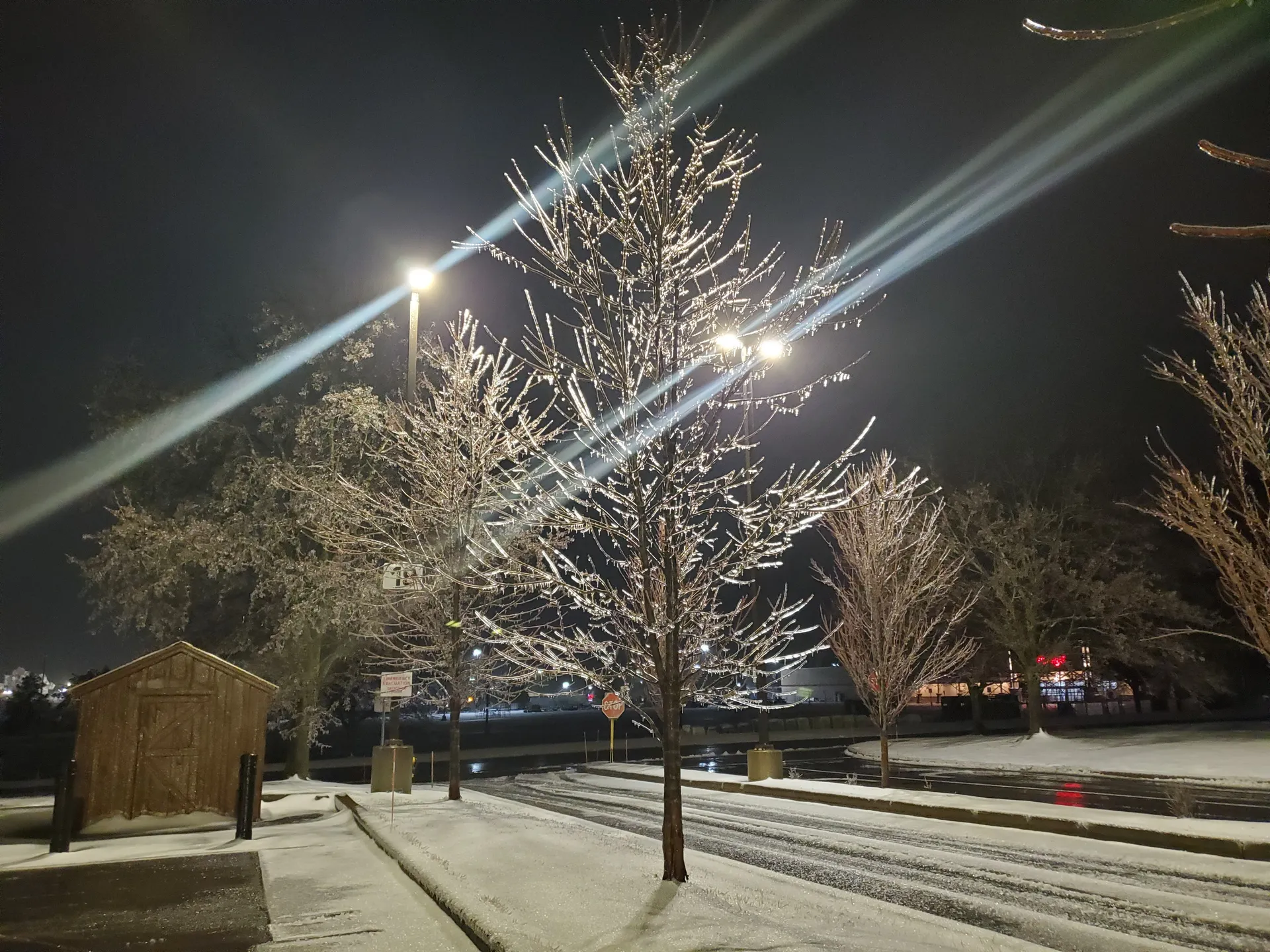 Iris the Vixen OnlyFans header