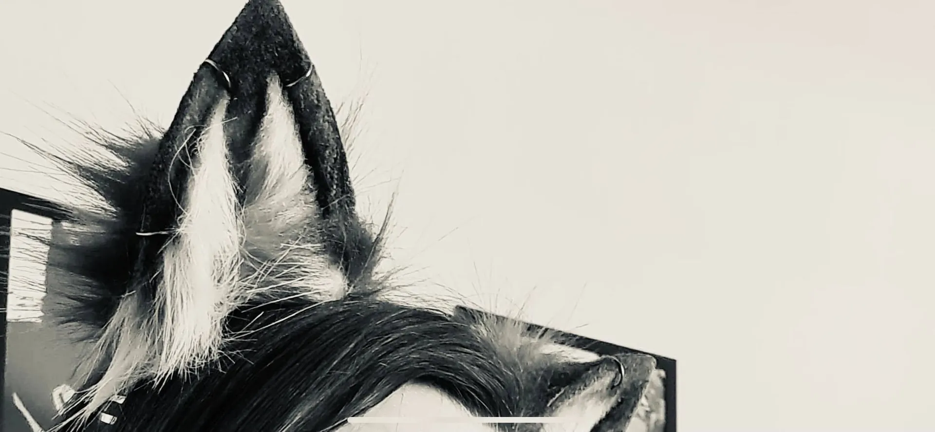 EloFoxy OnlyFans header