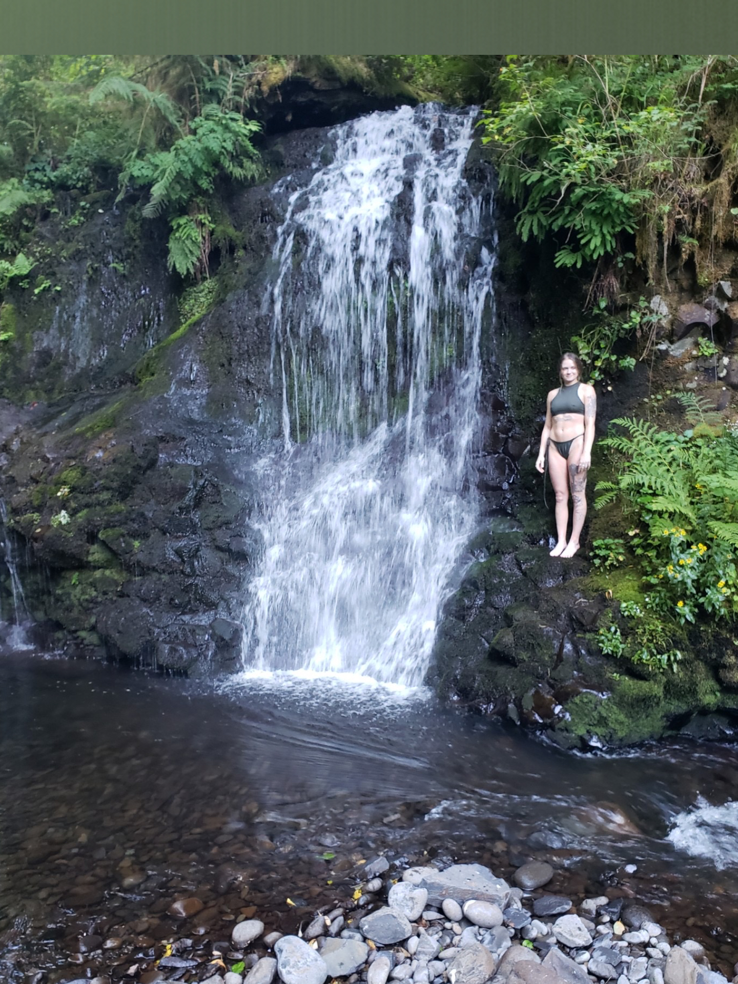 foxglove.fairy.free OnlyFans header