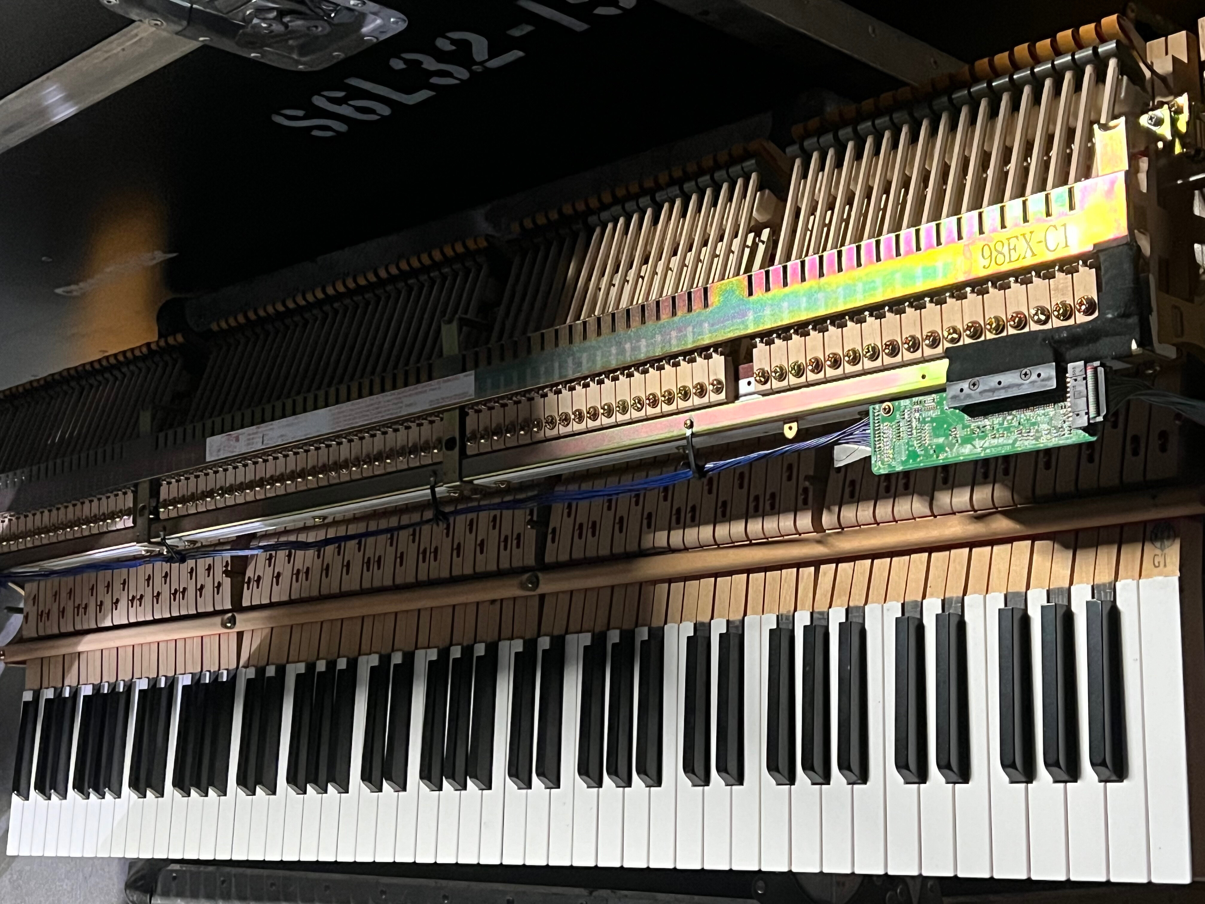 Fox Gloves OnlyFans header