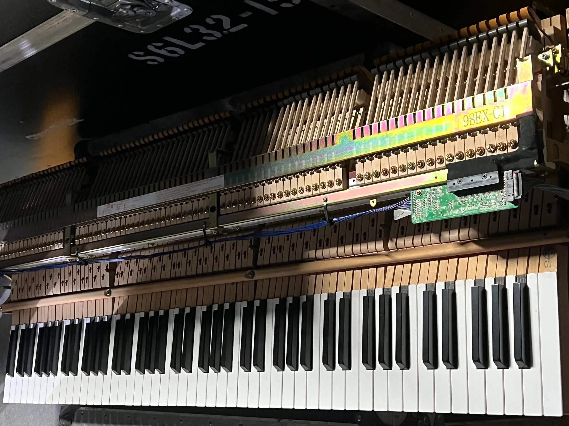 Fox Gloves OnlyFans header