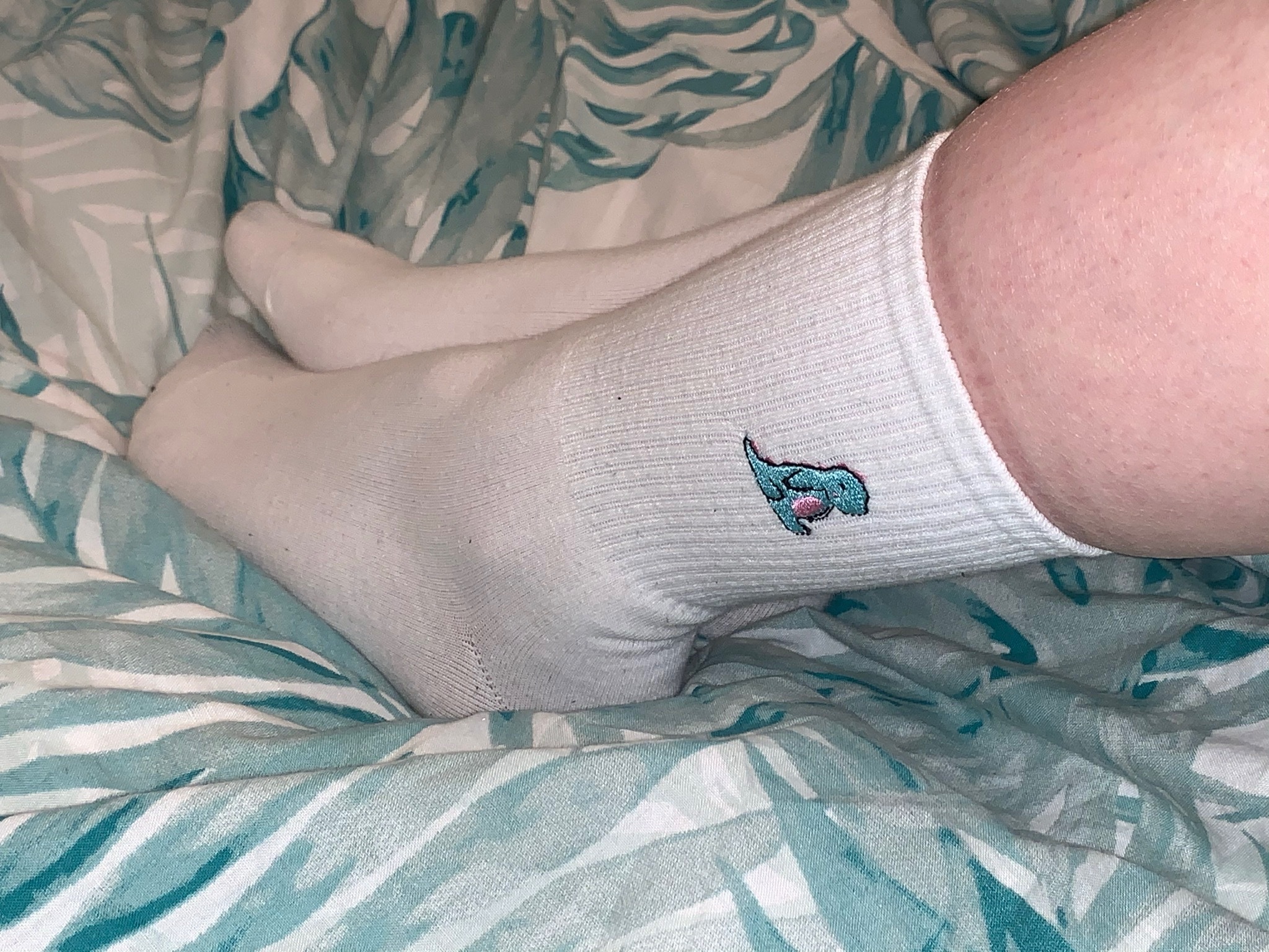 Foxies Feet OnlyFans header