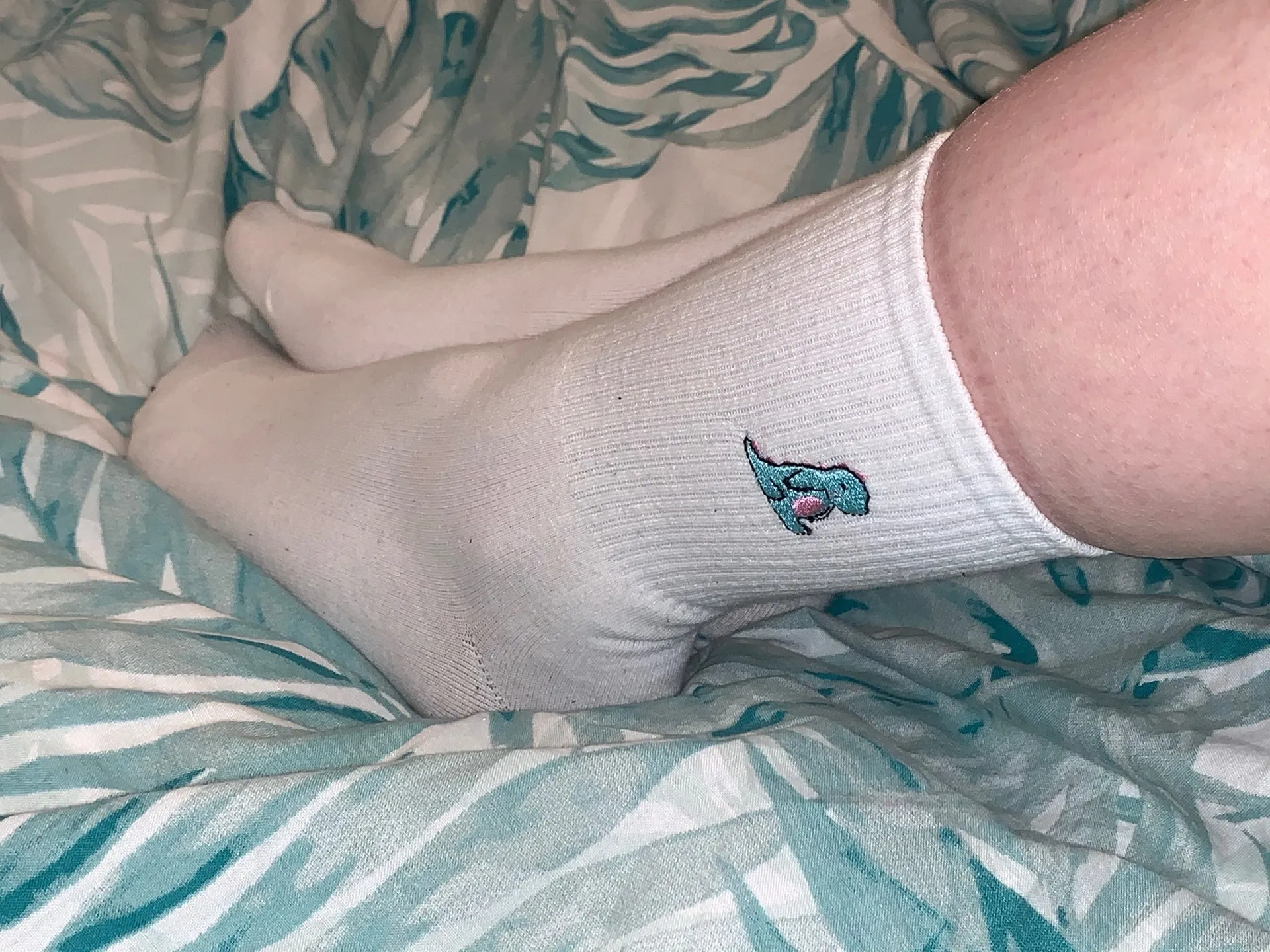 Foxies Feet cover