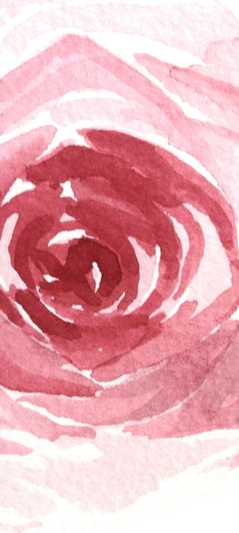 FoxOtter99 OnlyFans header