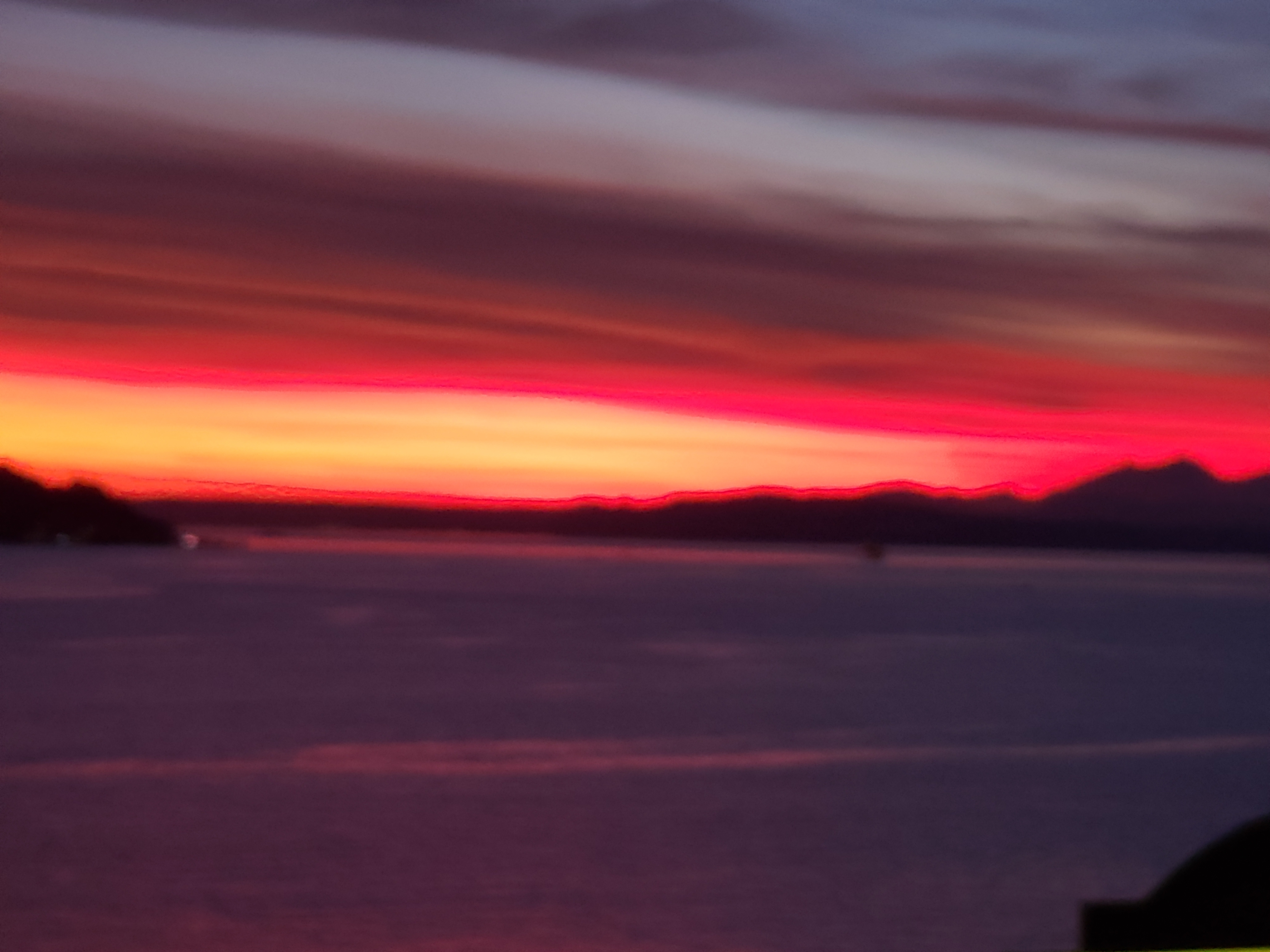 Foxprince OnlyFans header