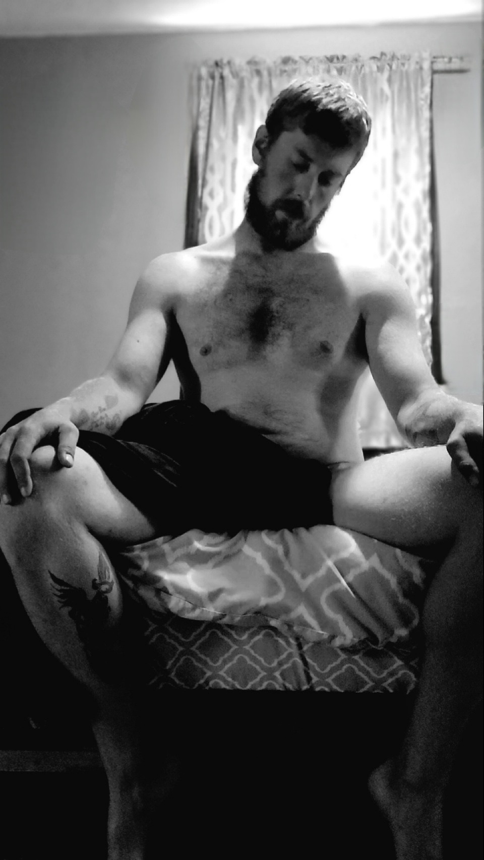 Foxrideral OnlyFans header