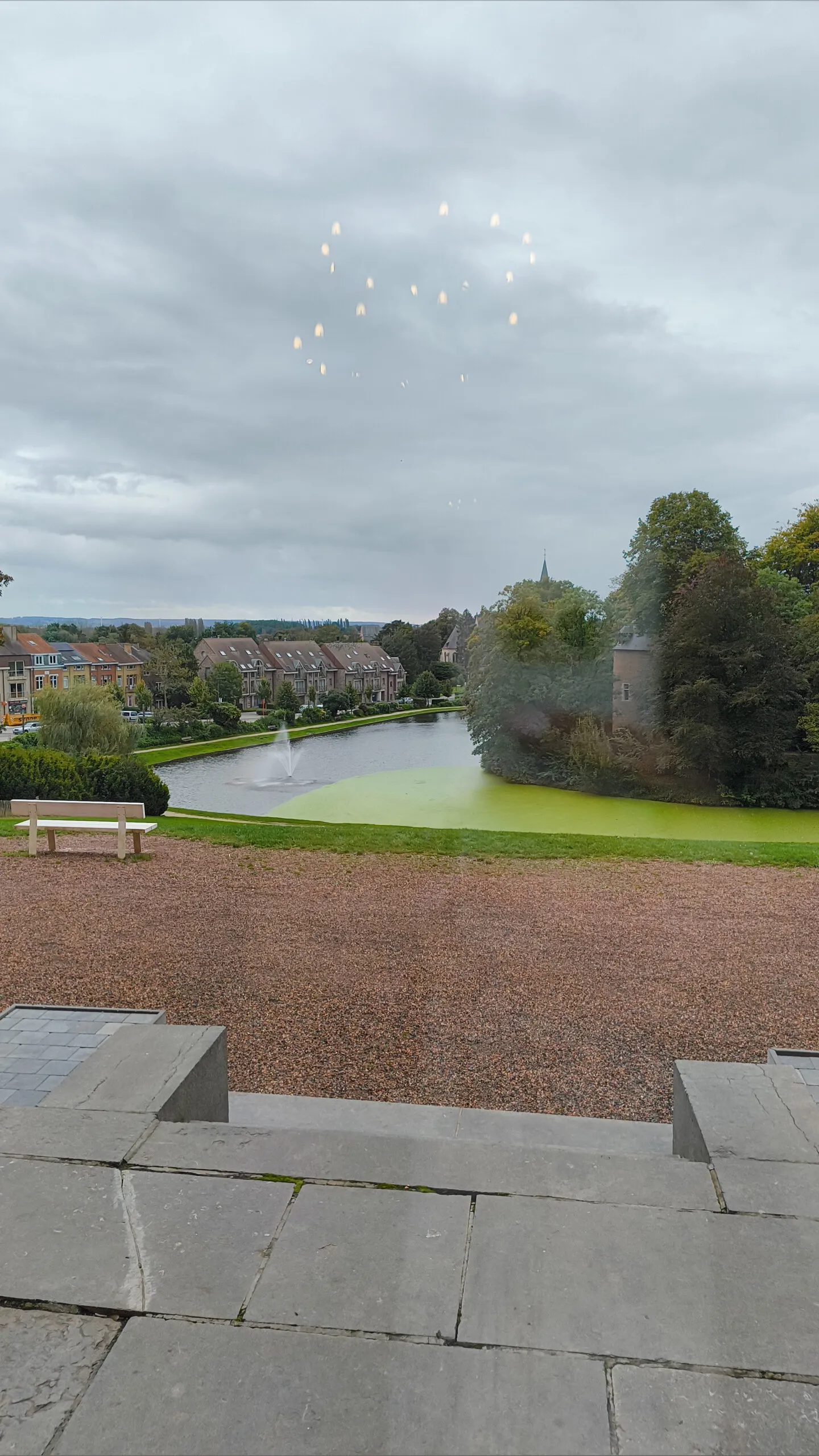 FoxStarri OnlyFans header