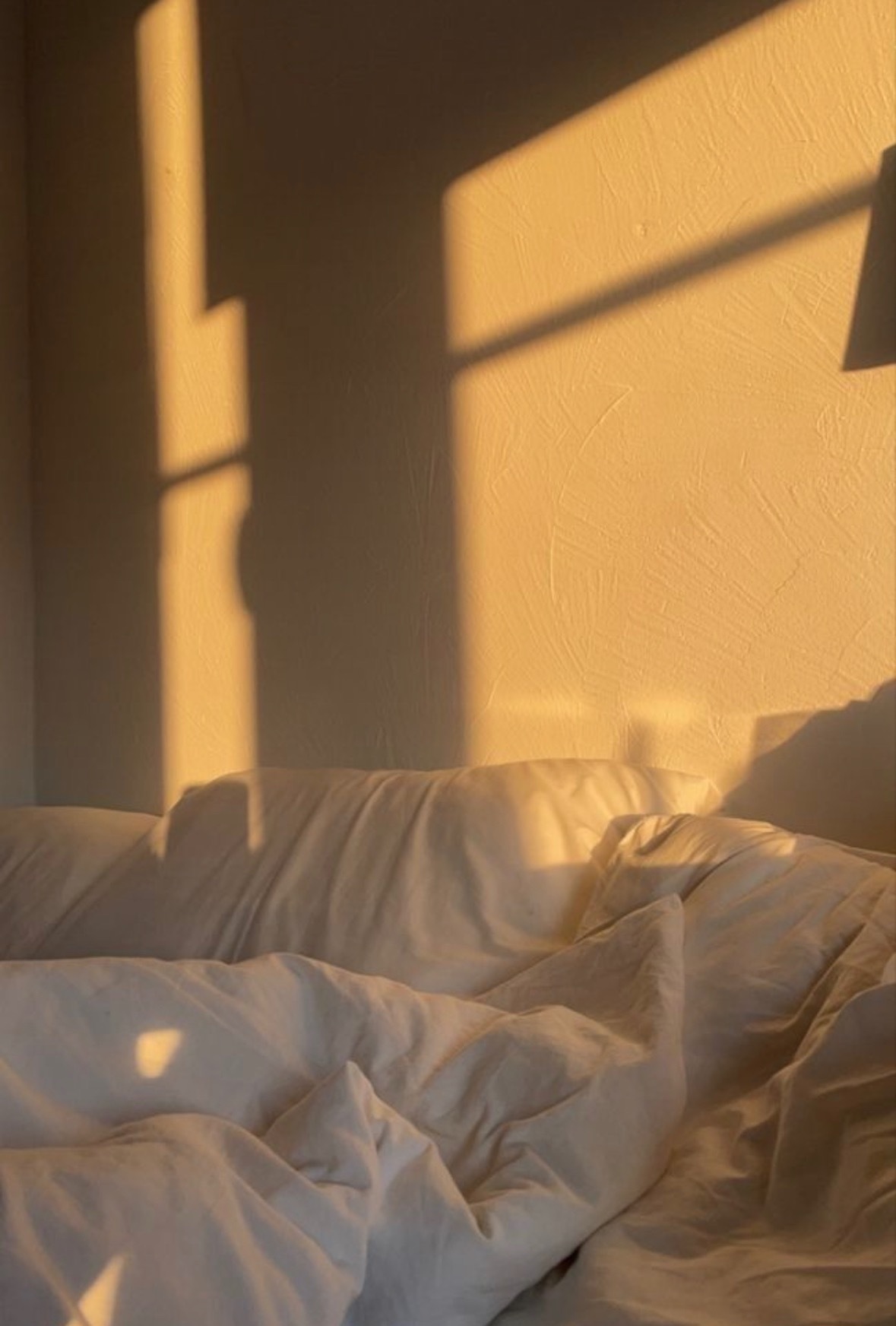 Foxy Babe ✨ OnlyFans header