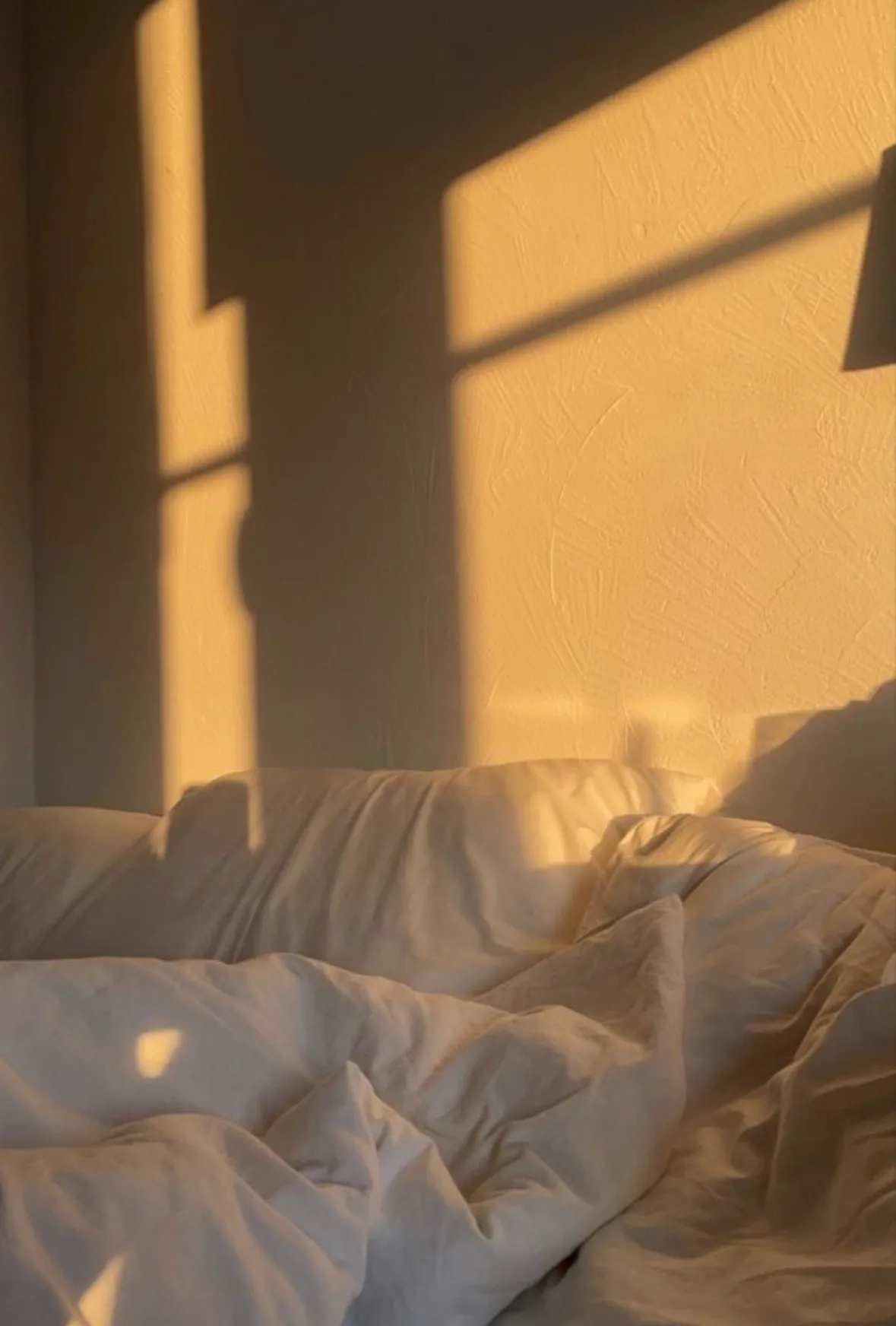 Foxy Babe ✨ OnlyFans header