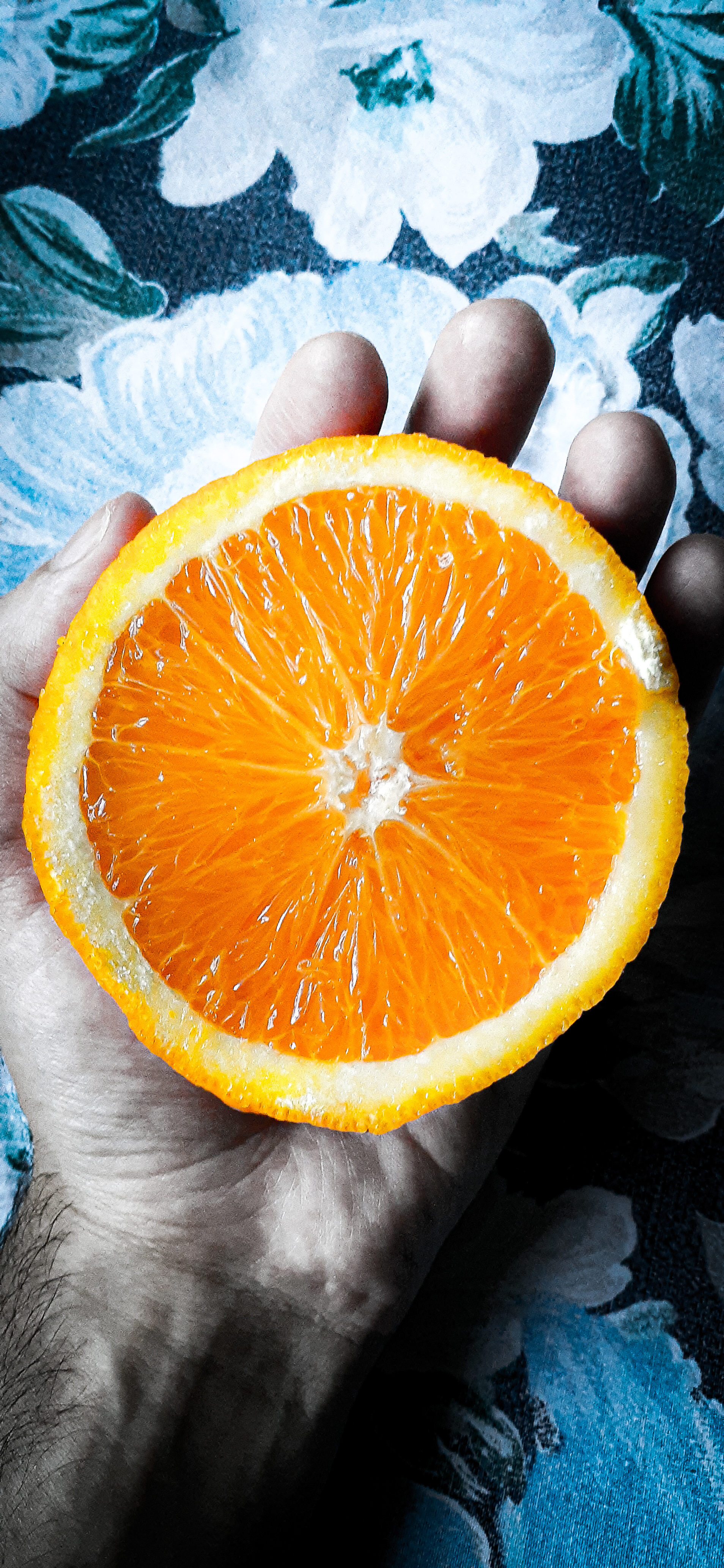 Foxy throt OnlyFans header