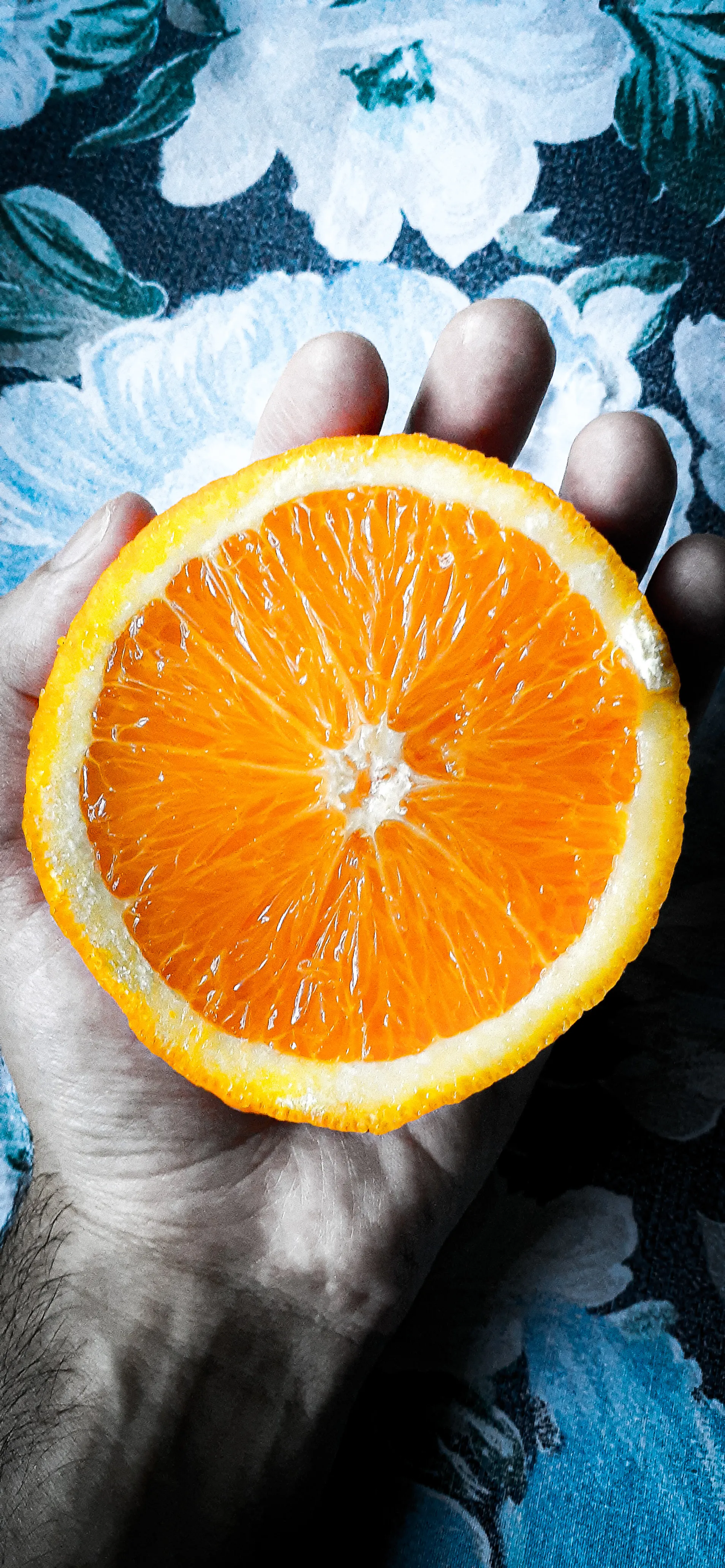 Foxy throt OnlyFans header