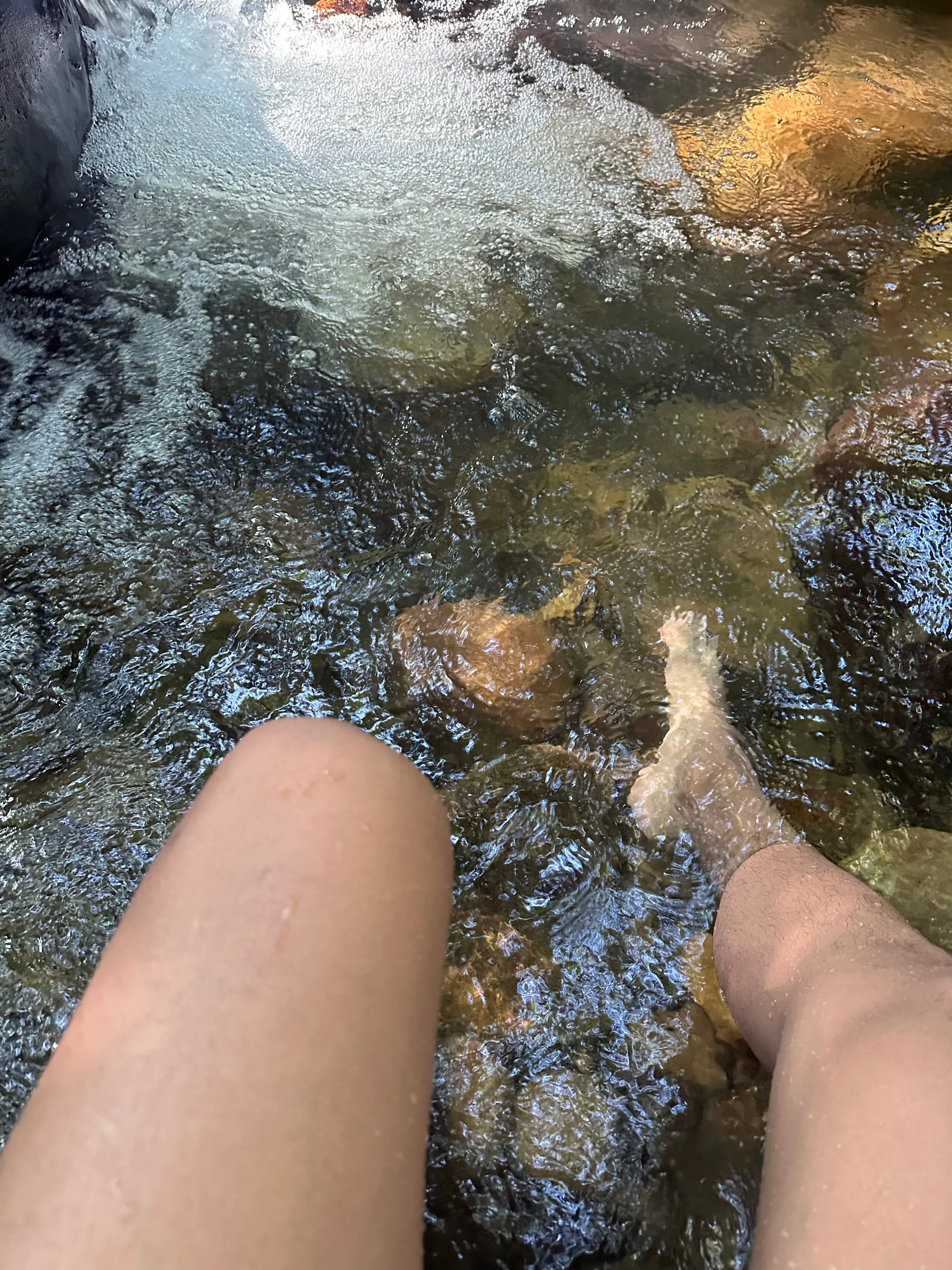 The foxxx OnlyFans header