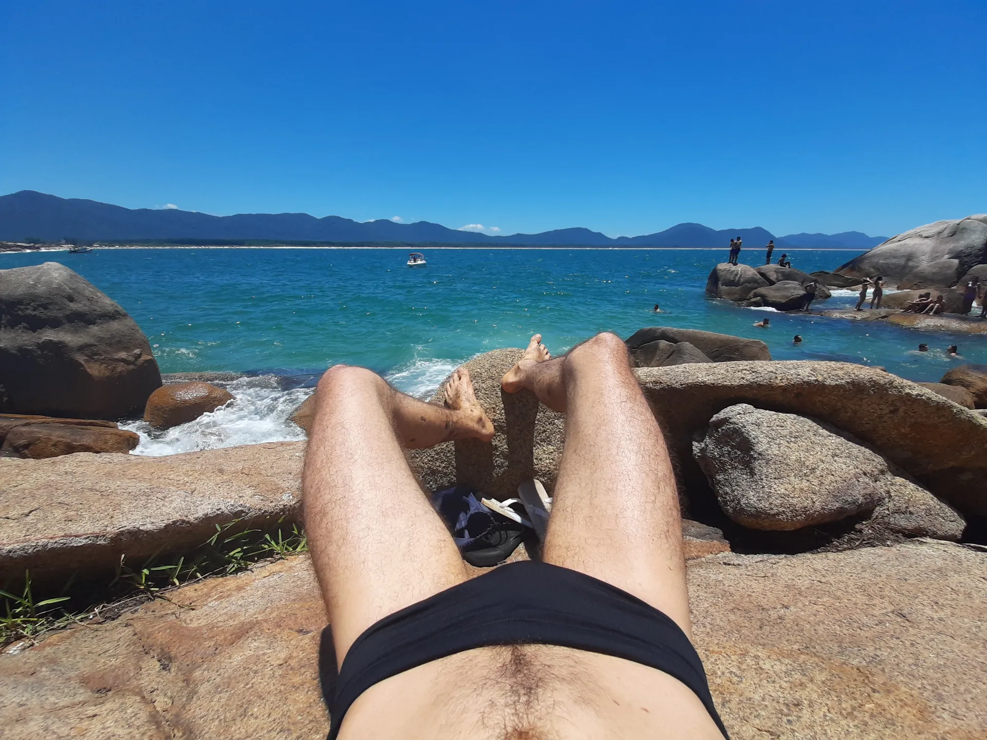 🦊 OnlyFans header