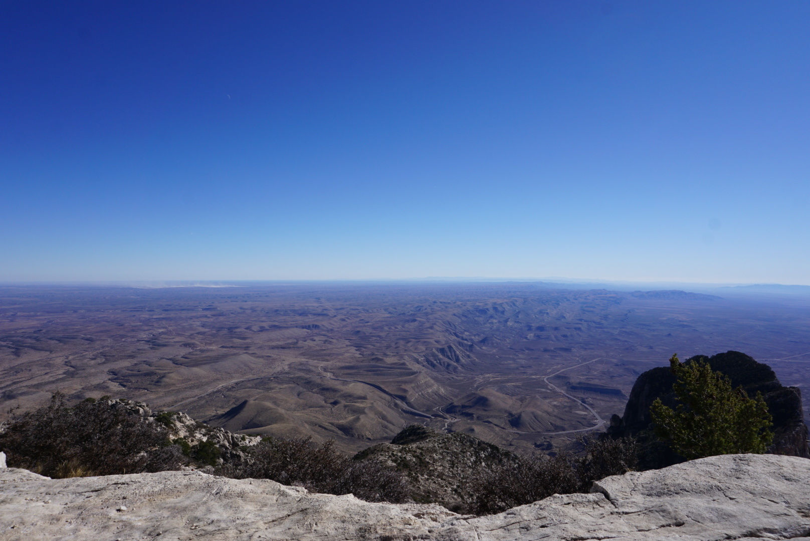 🦊 OnlyFans header