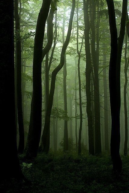 Yasmin OnlyFans header