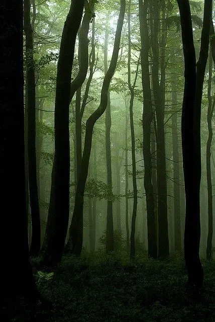 Yasmin OnlyFans header