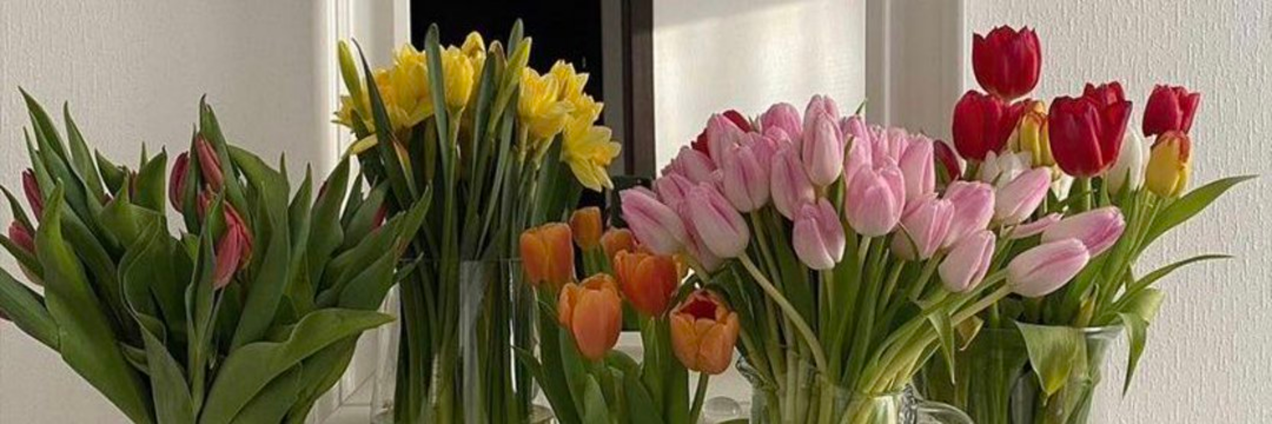 ꧁꧁𝔉𝔬𝔵𝔵𝔶 𝔅𝔩𝔲𝔫𝔱꧂꧂ OnlyFans header