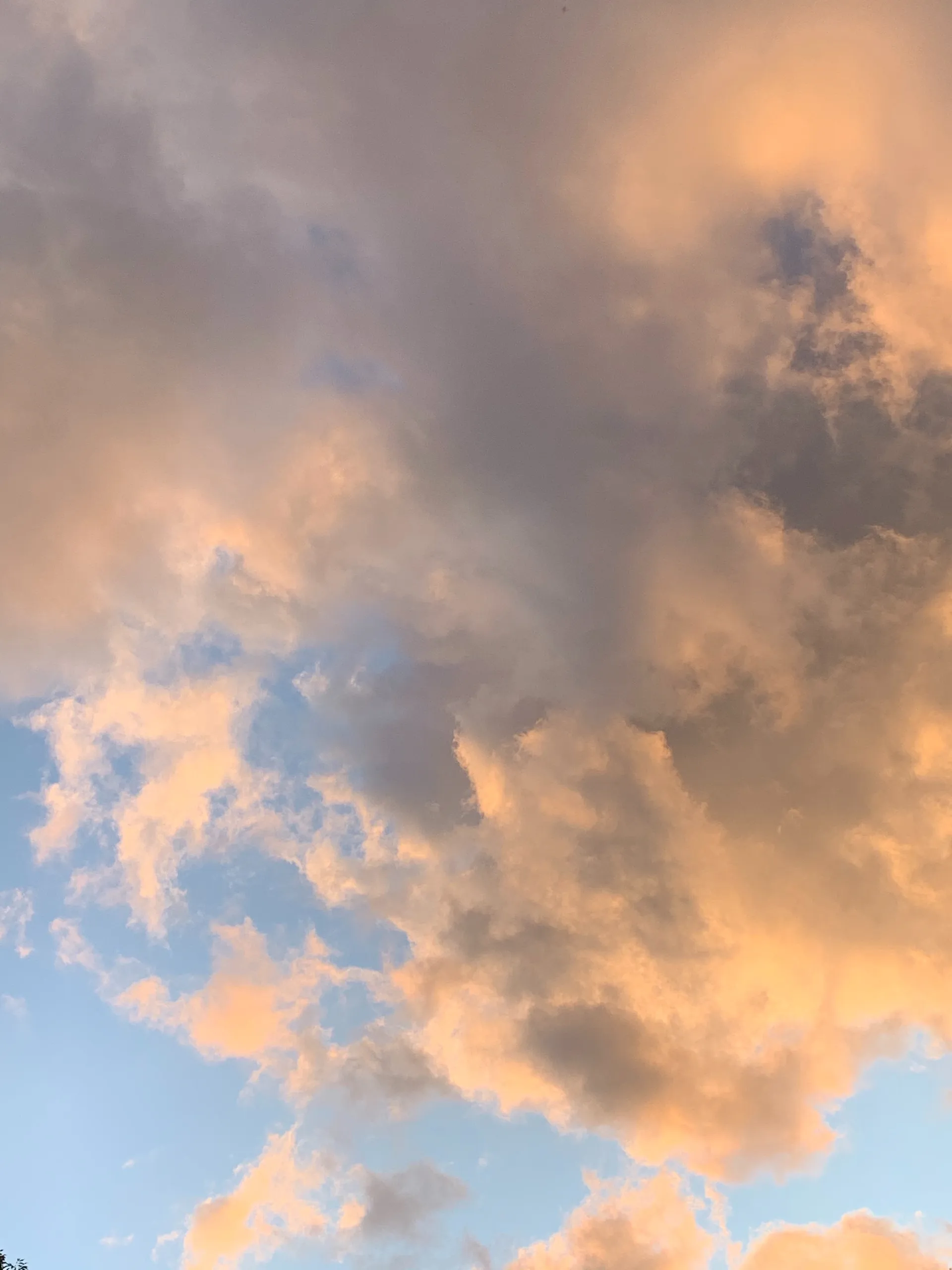 Foxxy Fauna OnlyFans header