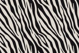 FOXXYGIRL💋 OnlyFans header