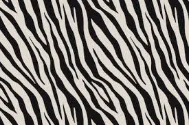 FOXXYGIRL💋 OnlyFans header