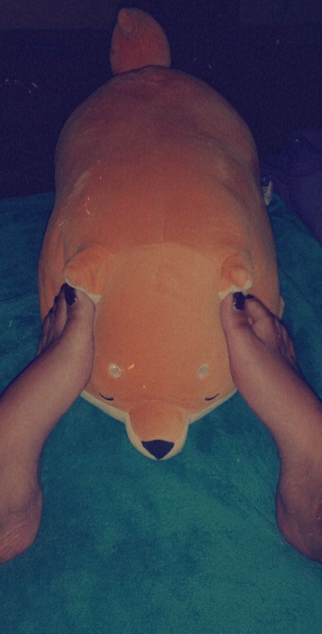 FoxxyPawss OnlyFans header