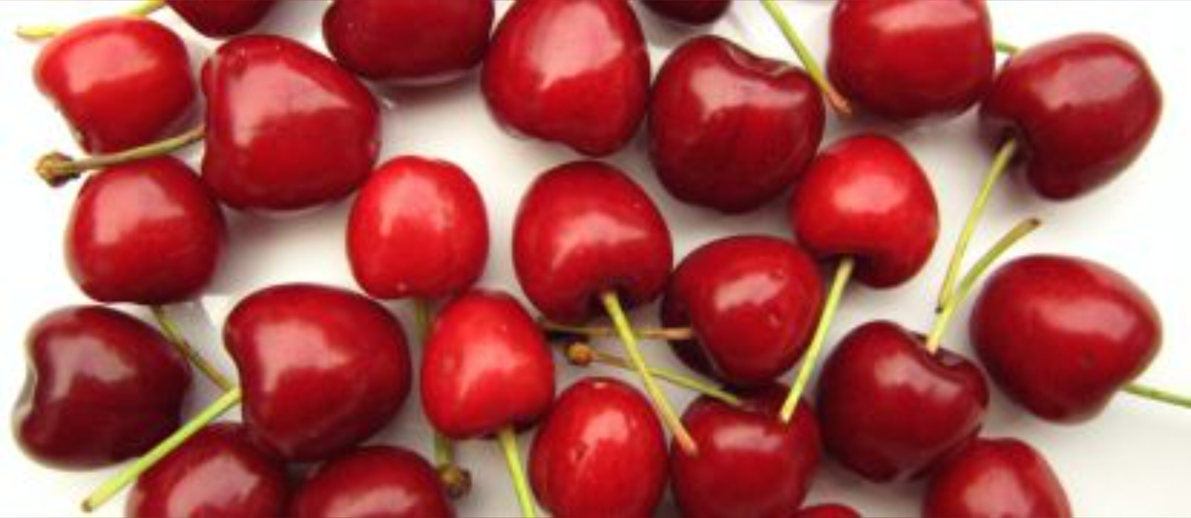 Foxxy's Free Page OnlyFans header