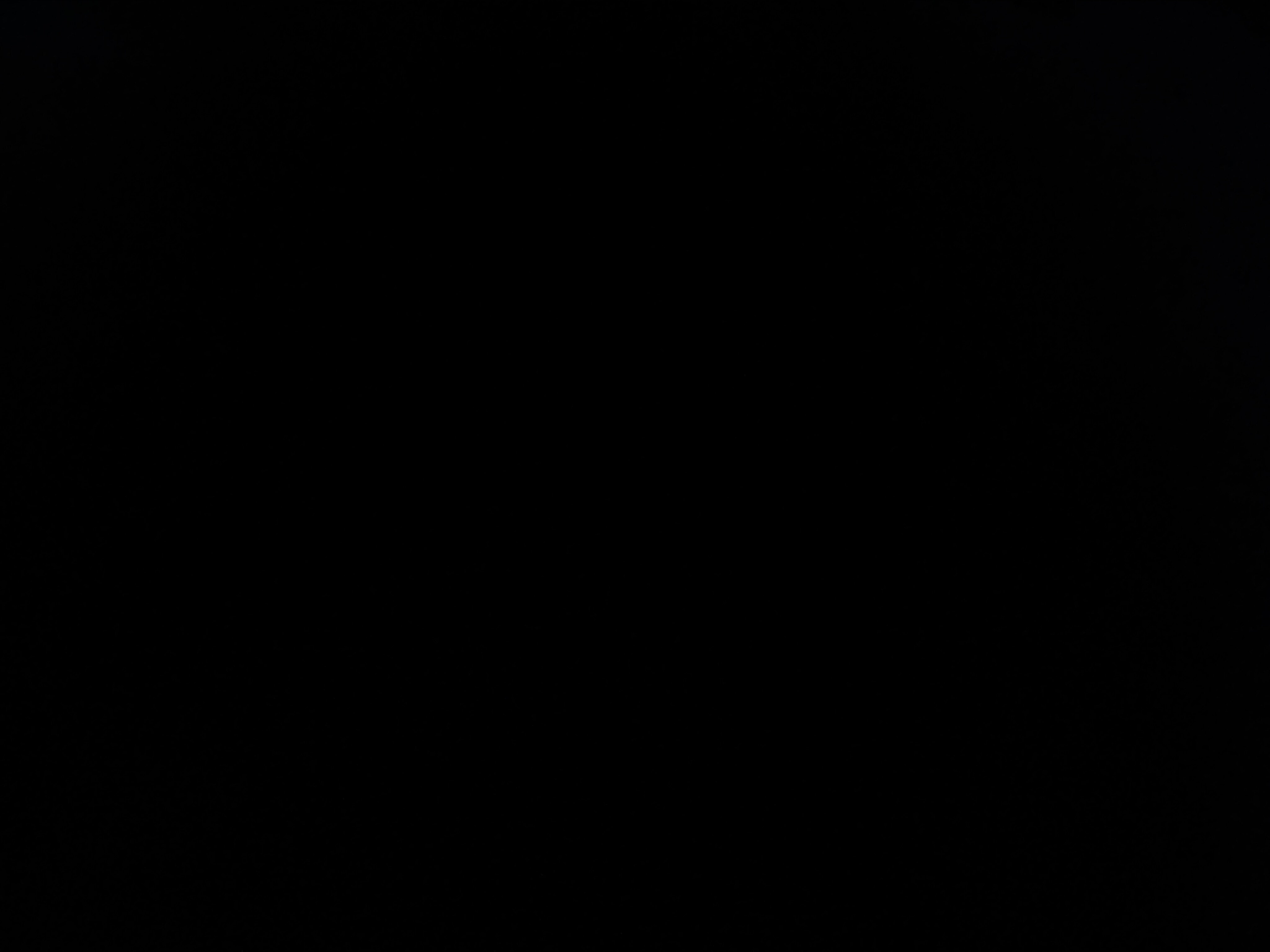 FoxxyTommy…🦊 OnlyFans header