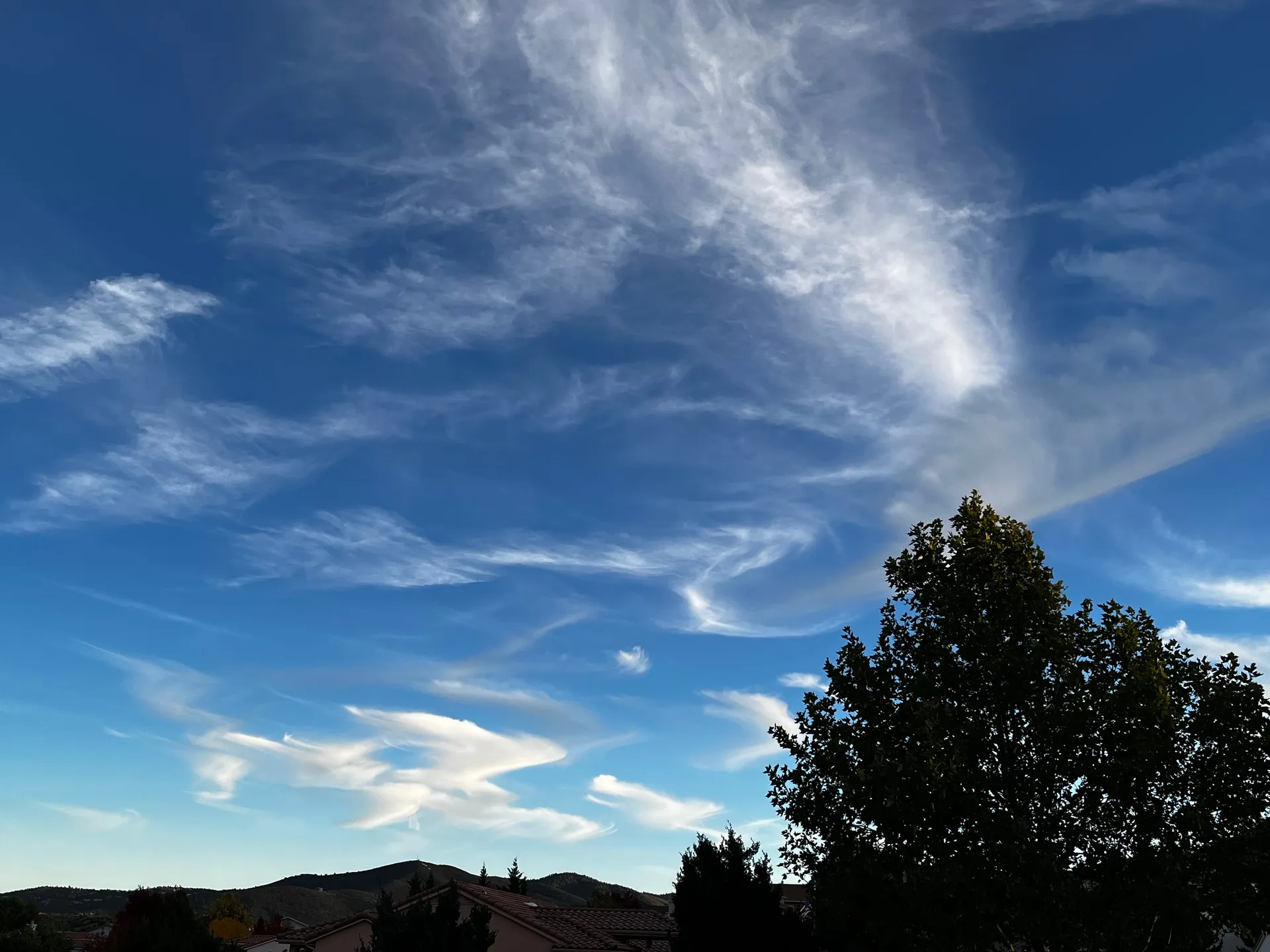 𝒽🔒 OnlyFans header