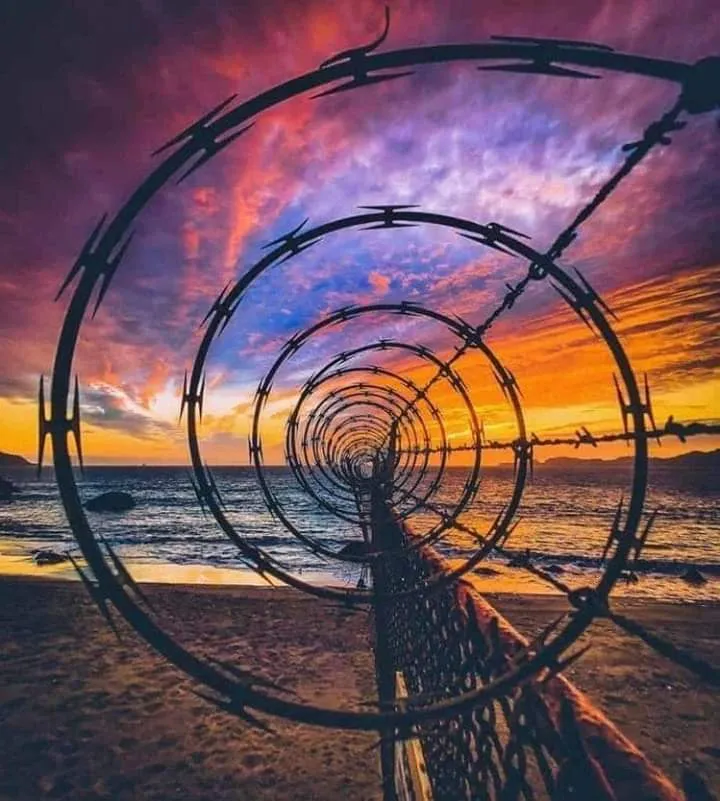 Foxy OnlyFans header