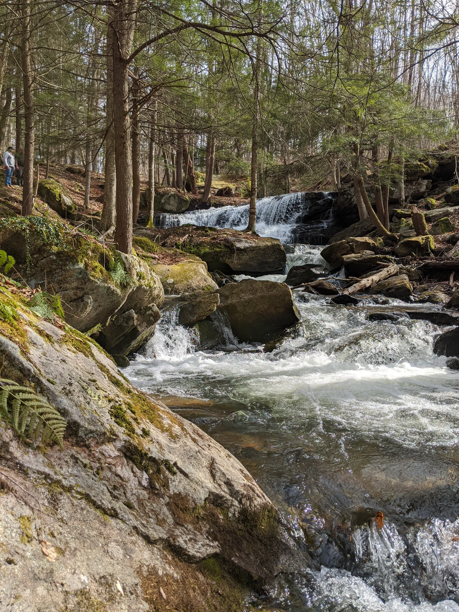 Justin Credible OnlyFans header