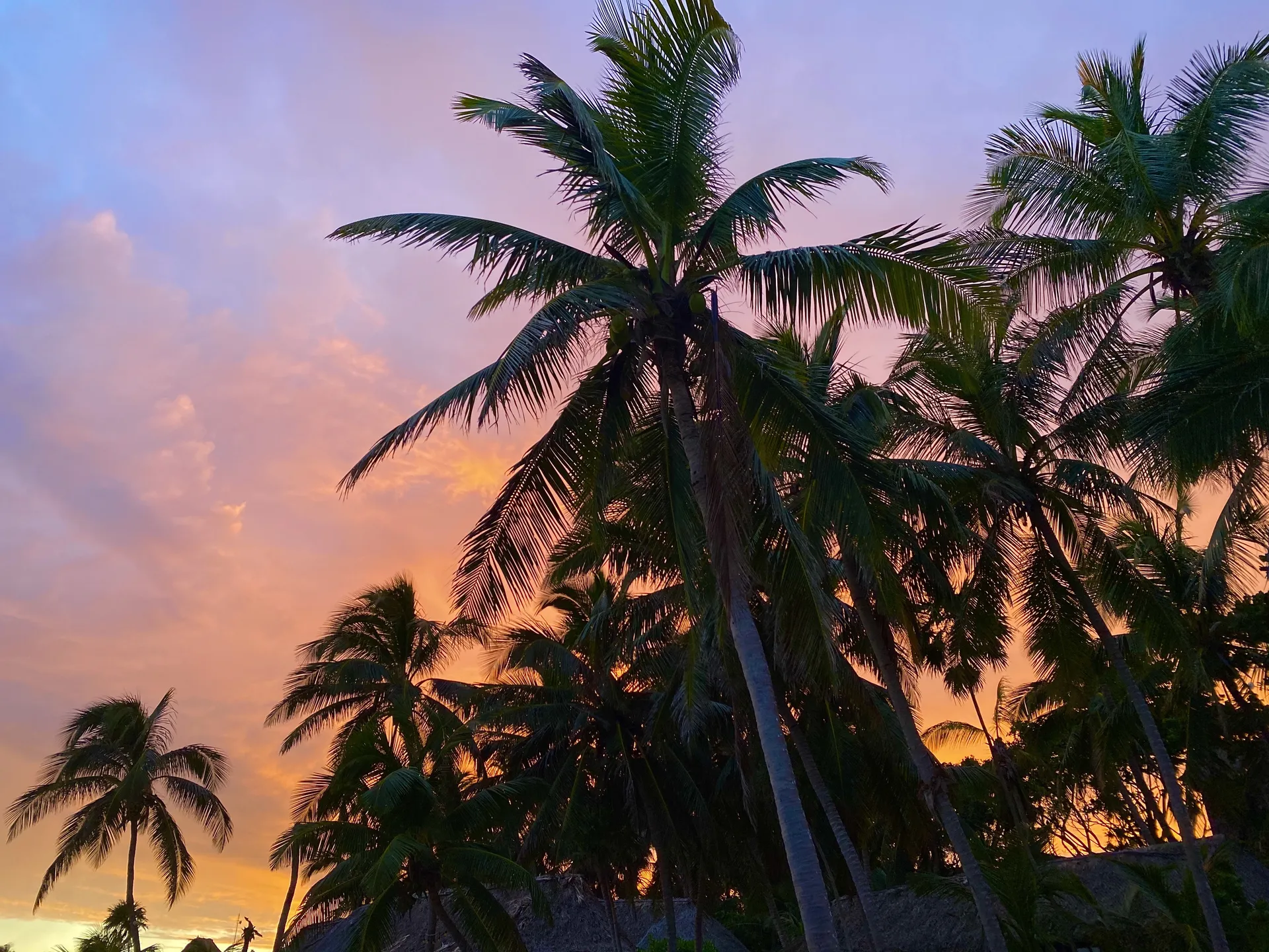 Foxy_xo OnlyFans header