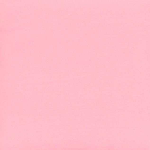 Foxy Bear OnlyFans header