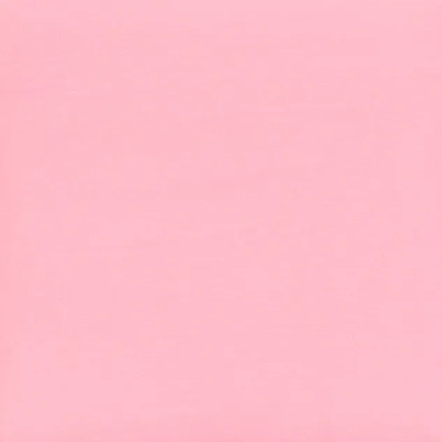 Foxy Bear OnlyFans header