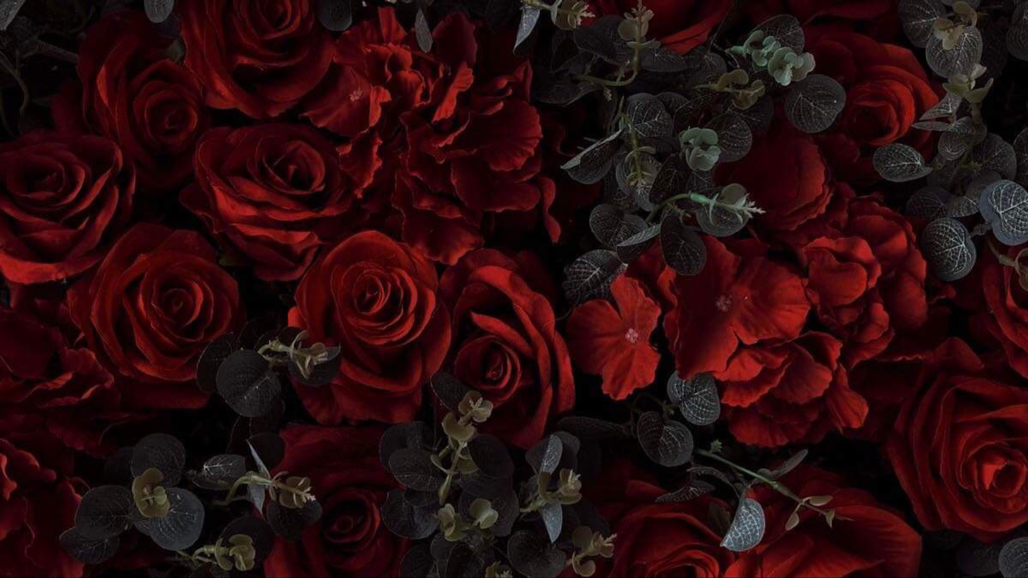 🌶️🔥 F O X Y   B U N N I E S 🔥🌶️ OnlyFans header