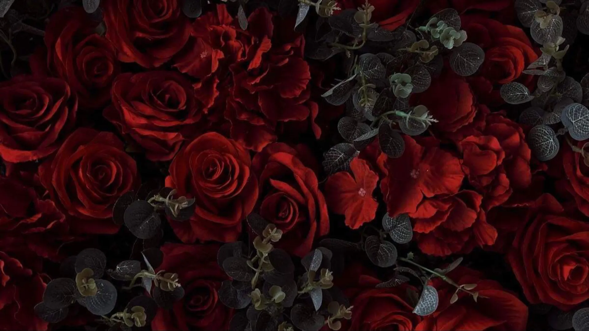 🌶️🔥 F O X Y   B U N N I E S 🔥🌶️ OnlyFans header