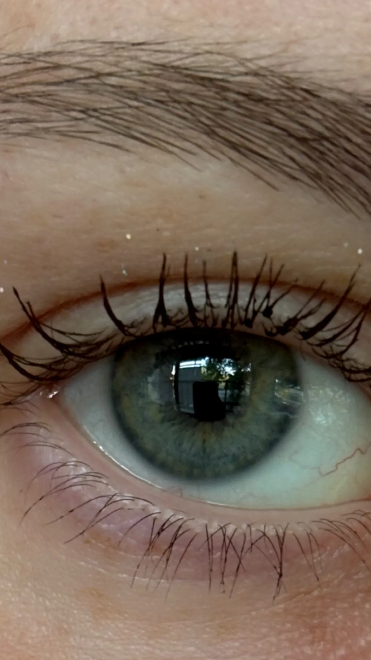 •°․𓃦․• OnlyFans header