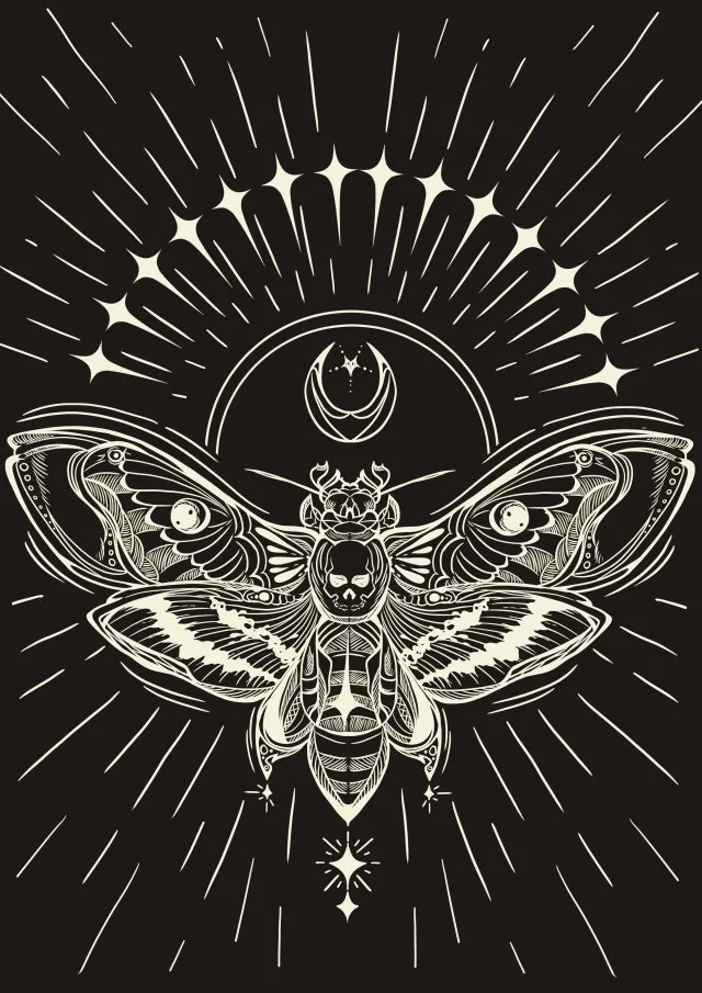 foxy feet 🦶 OnlyFans header