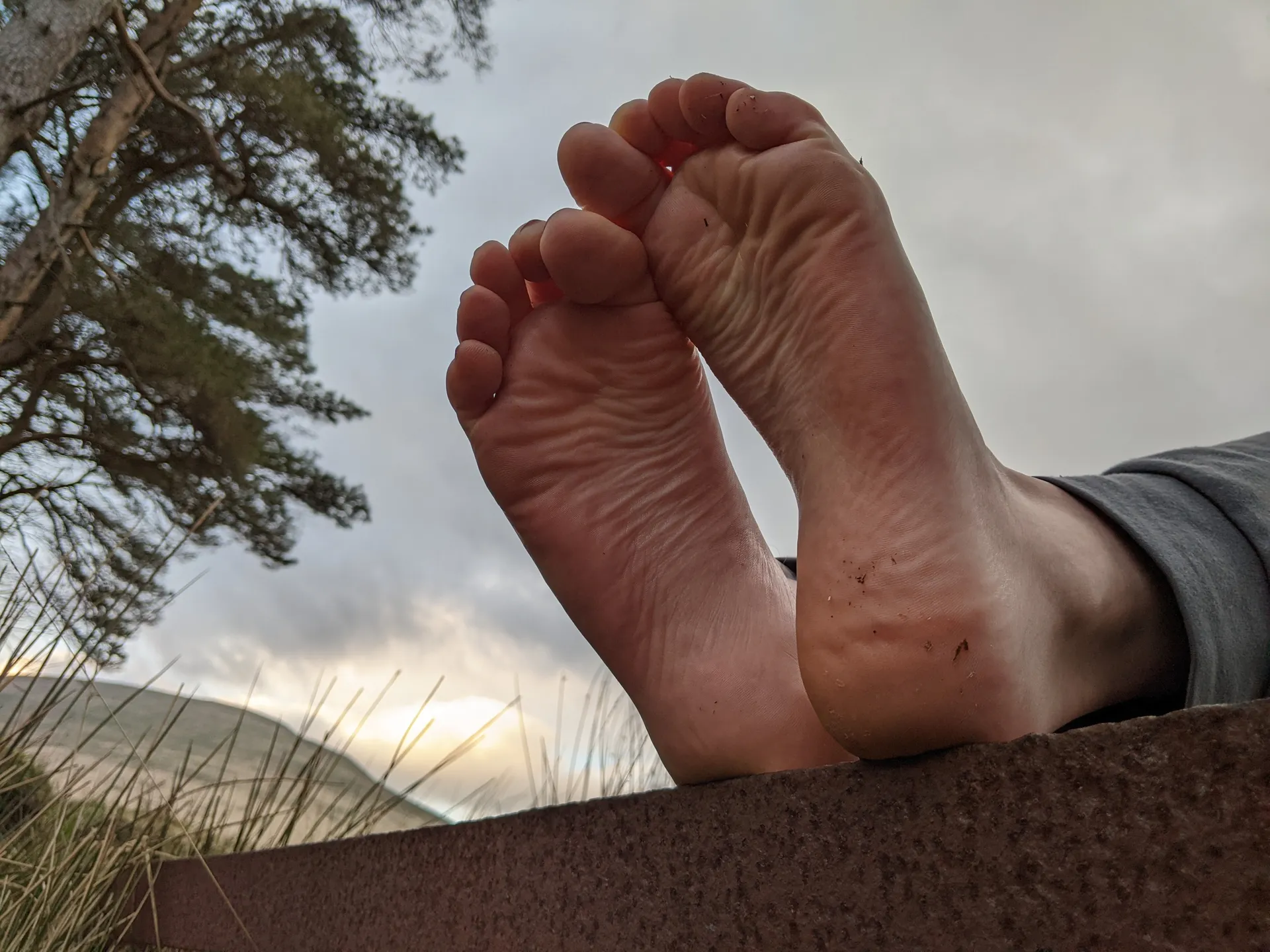 Foxy Feet OnlyFans header