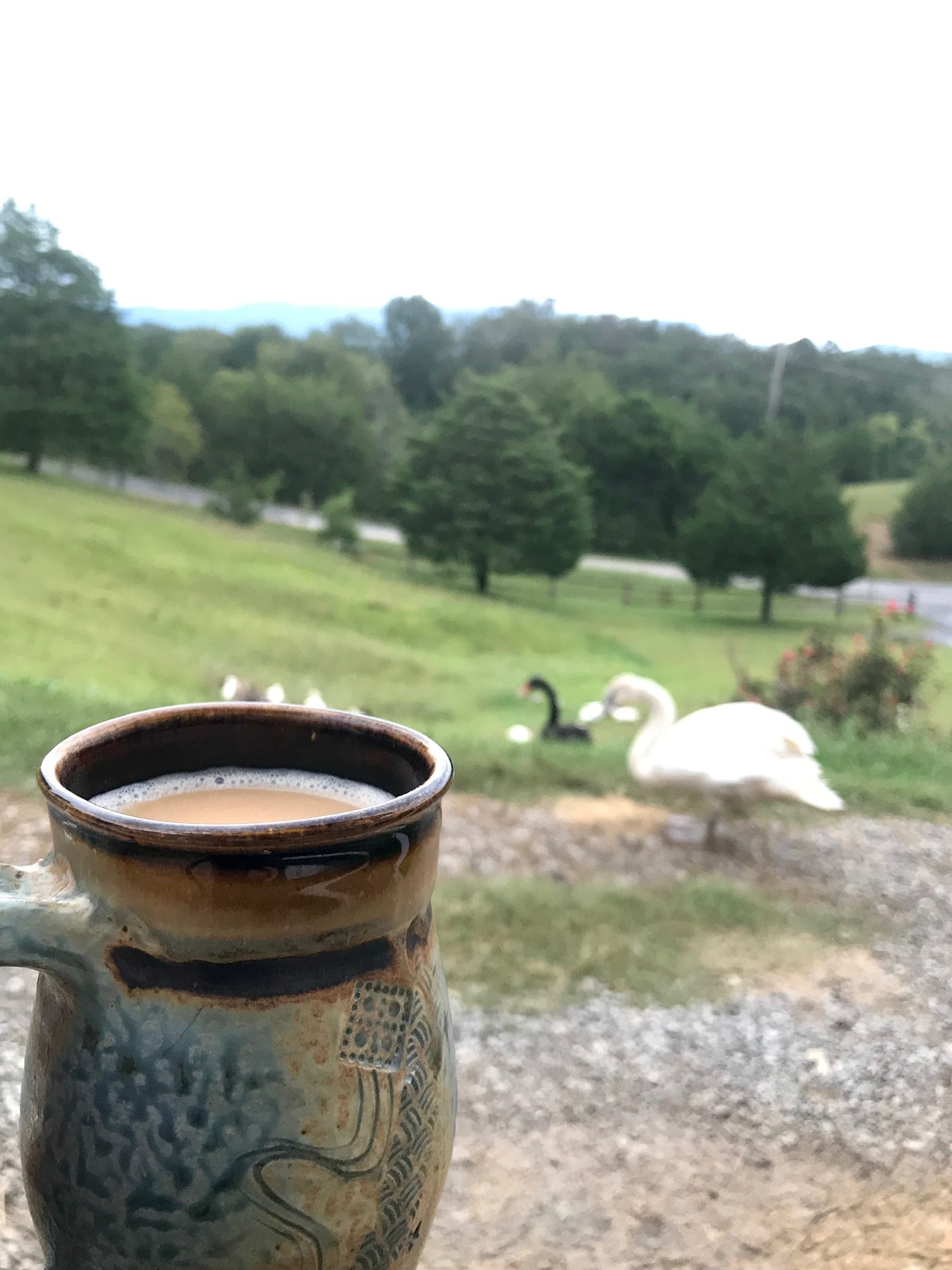 Brightside OnlyFans header