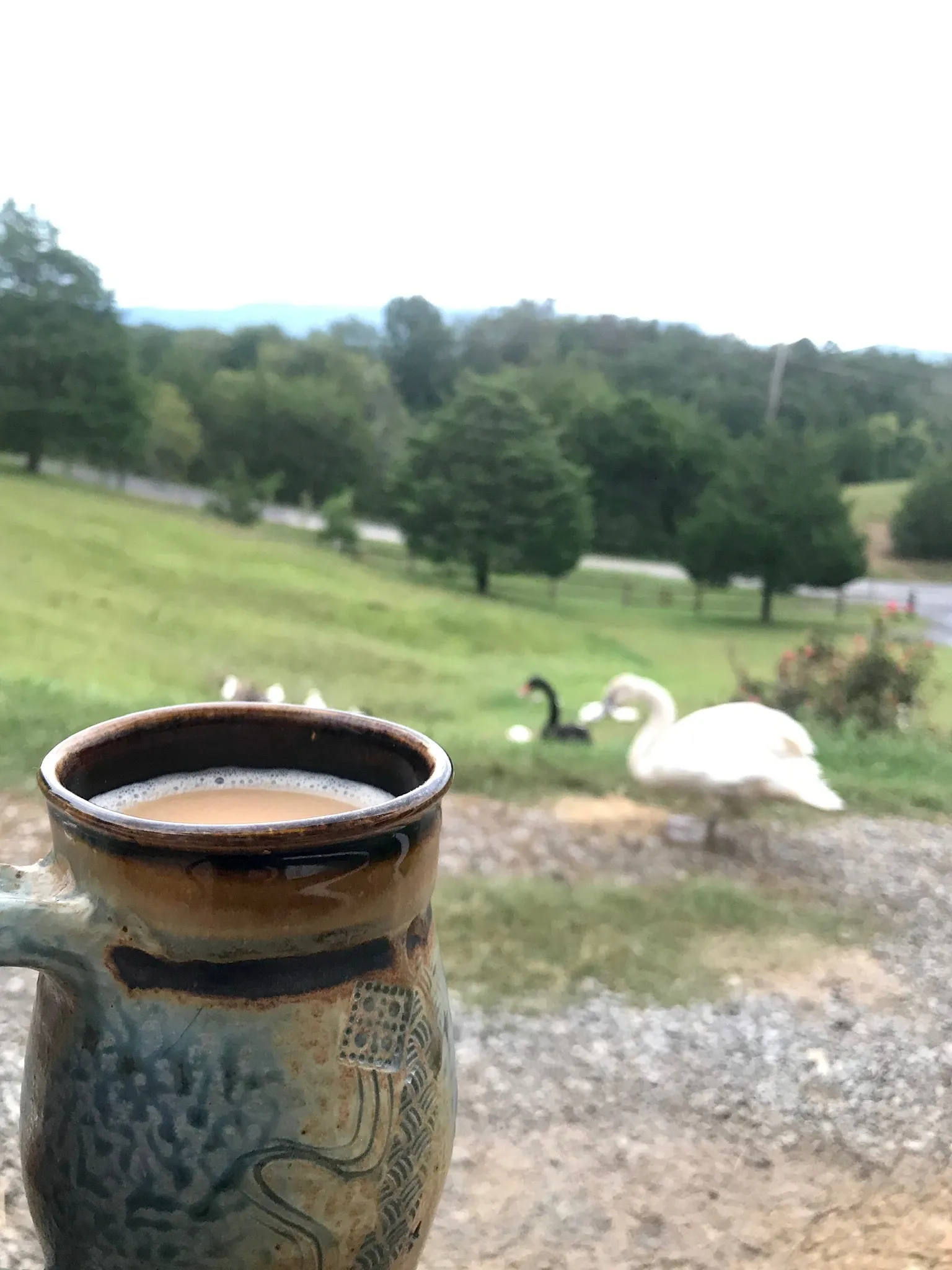 Brightside OnlyFans header