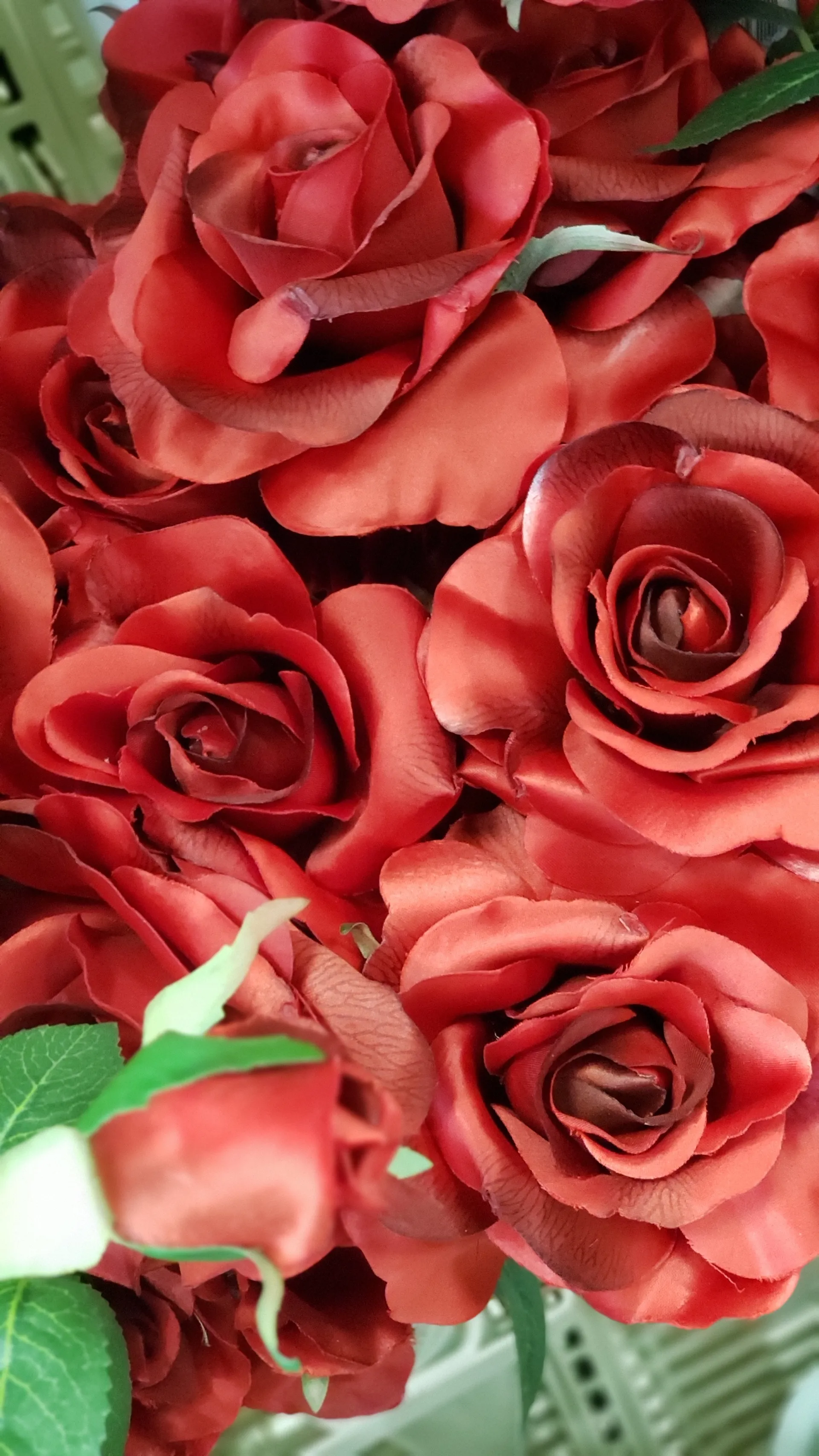 Foxygirl OnlyFans header