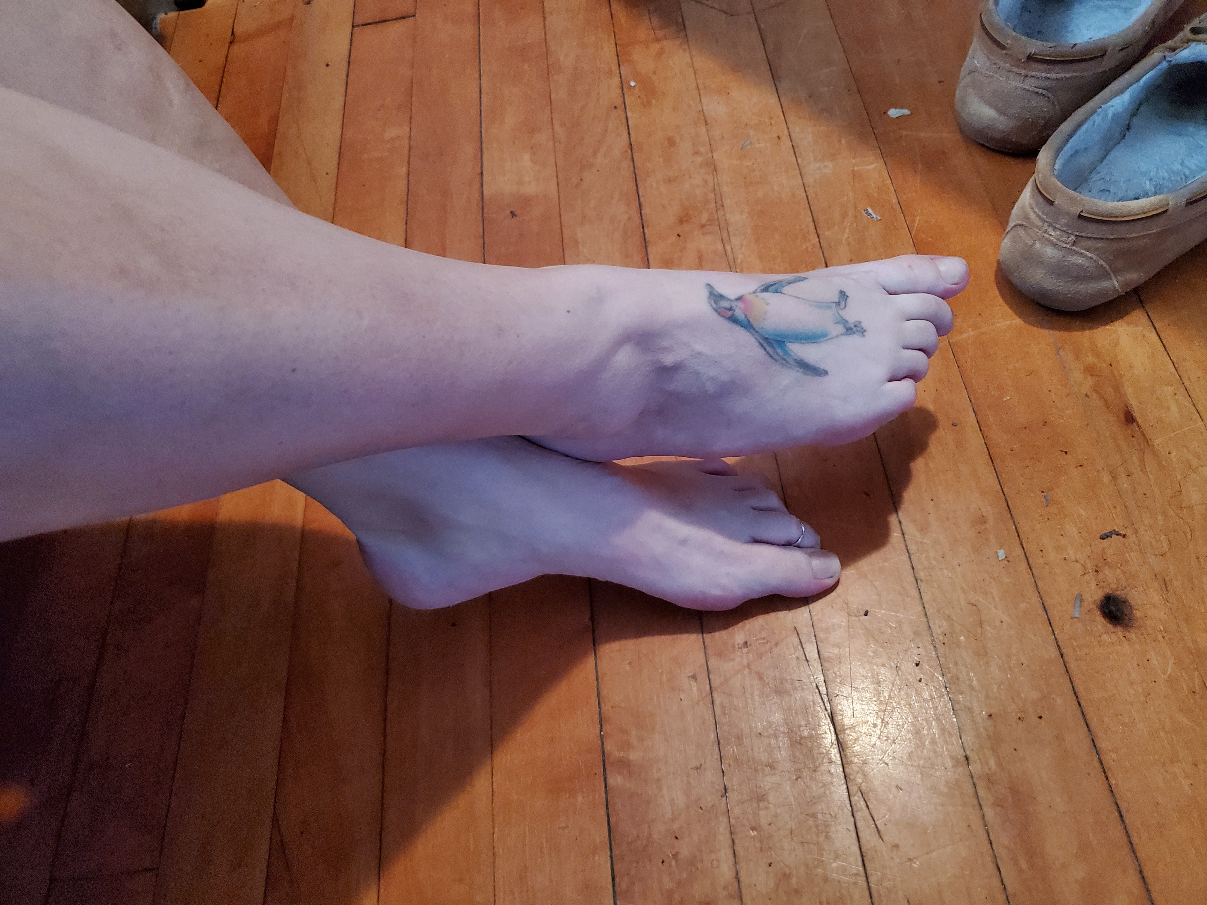 Foxy Kat OnlyFans header