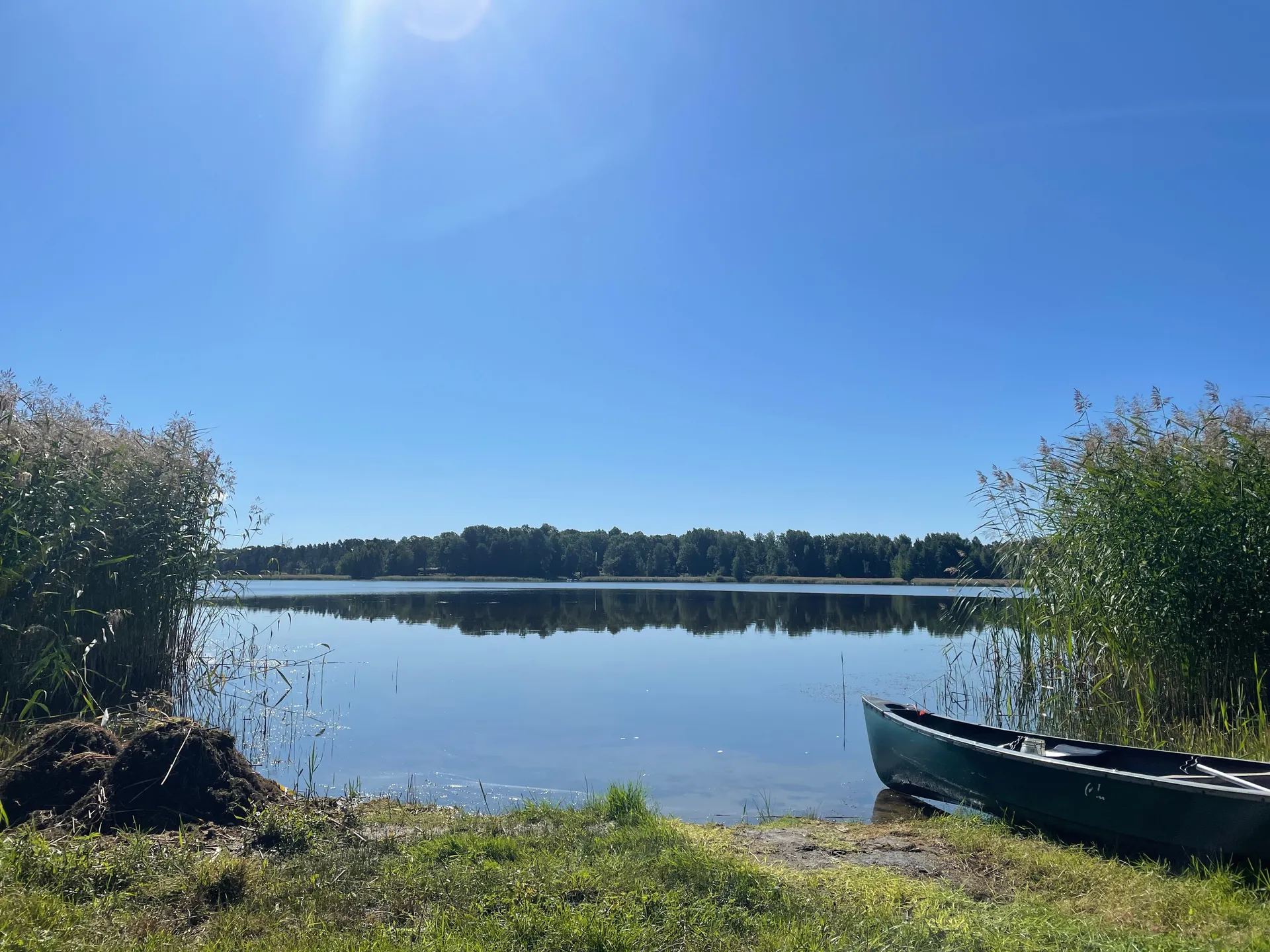 ❀ Envnee ❀ OnlyFans header