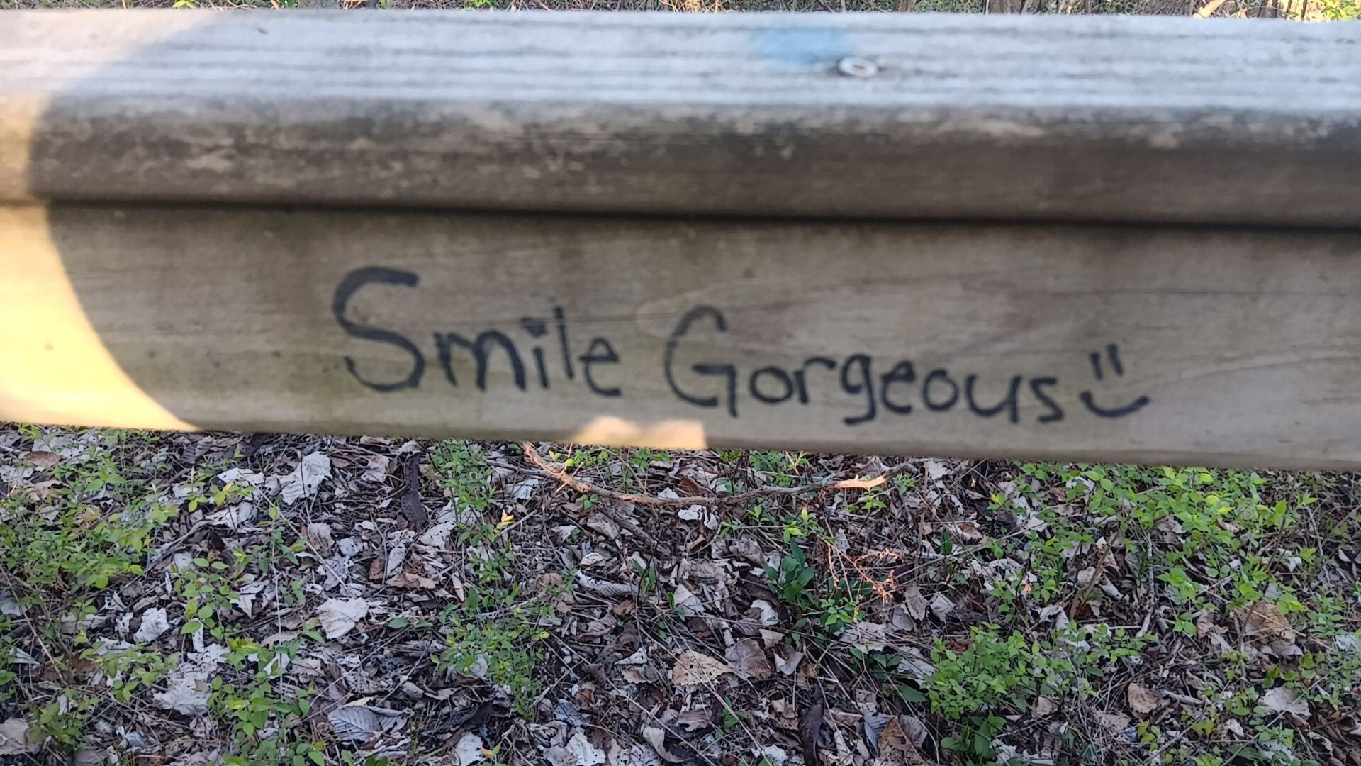 Amanda OnlyFans header