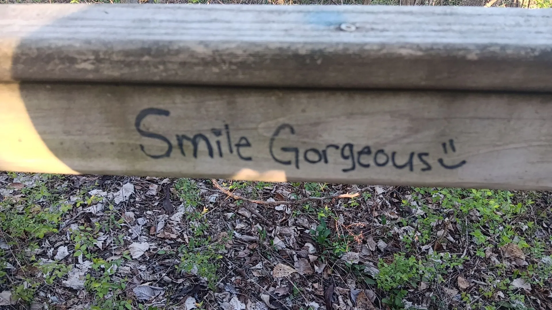 Amanda OnlyFans header