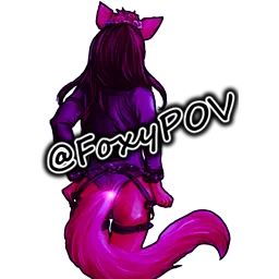 FoxyPOV