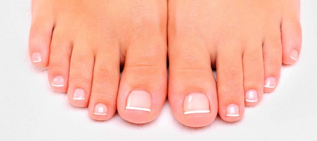 Foxy🦊 OnlyFans header