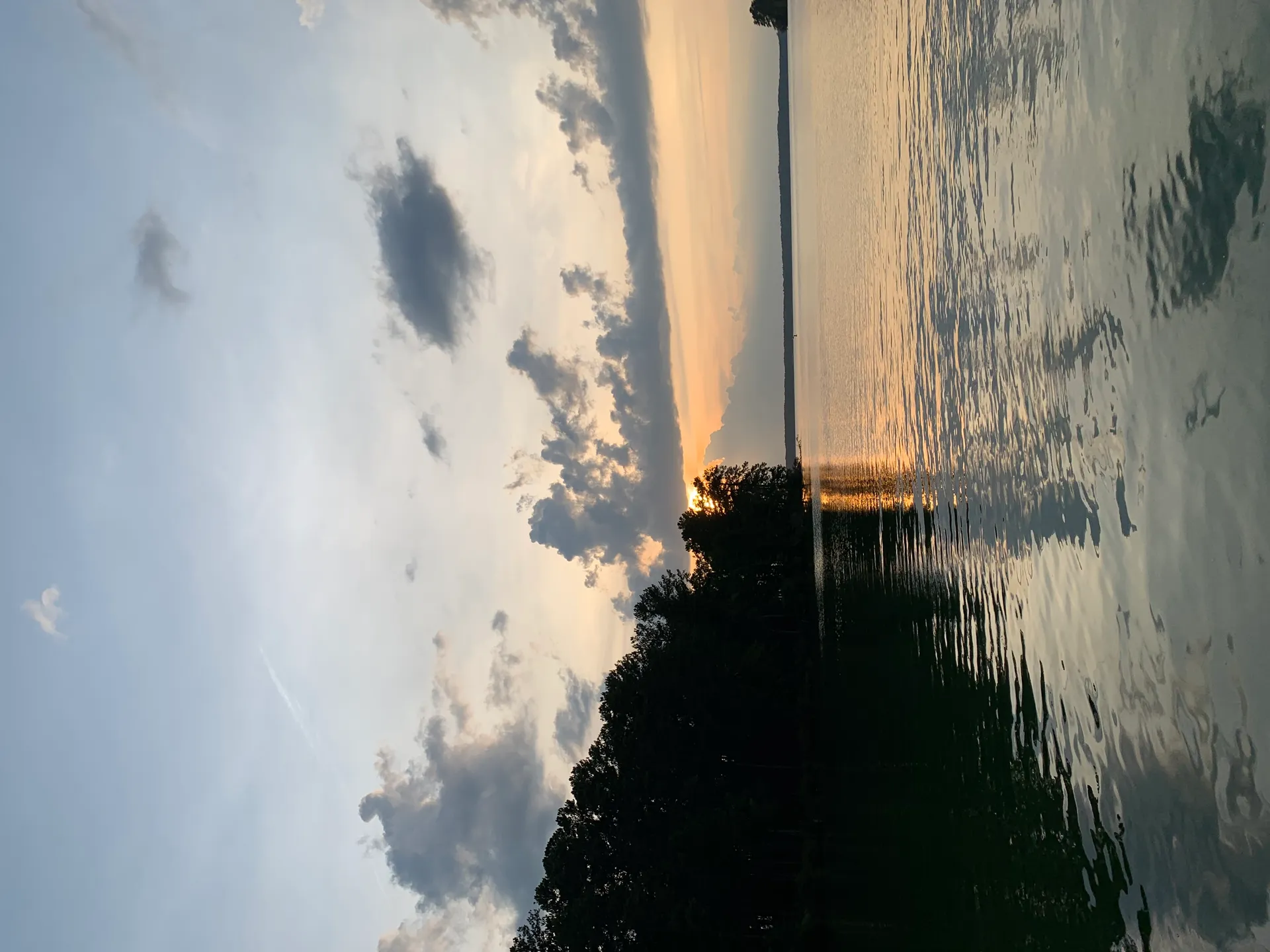 Foxy Spark OnlyFans header