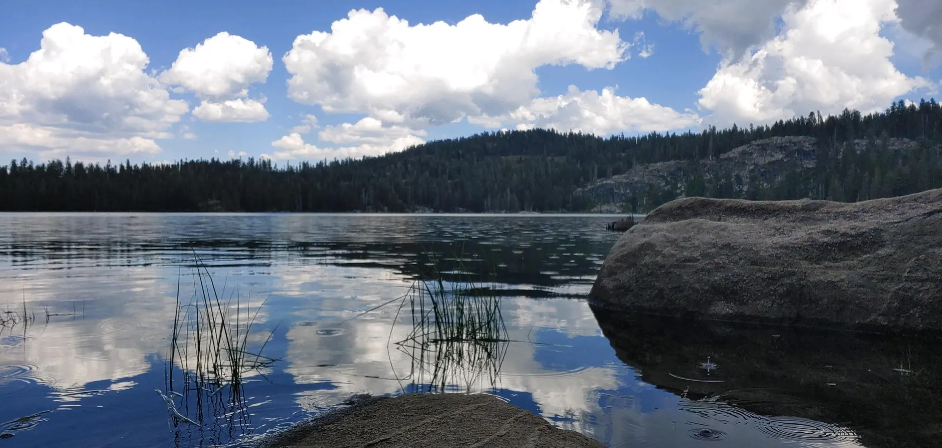 Mia VonTeese OnlyFans header