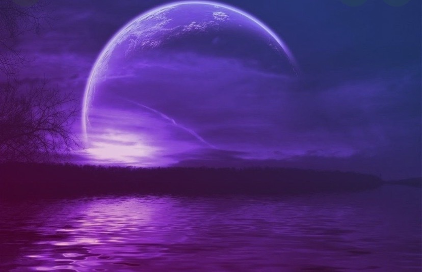 Foxyvixen_dreams OnlyFans header